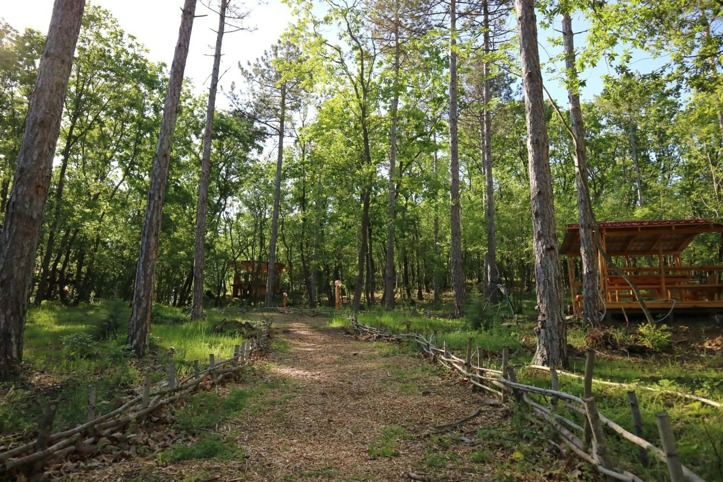 Garden in Park hotel Bellevue