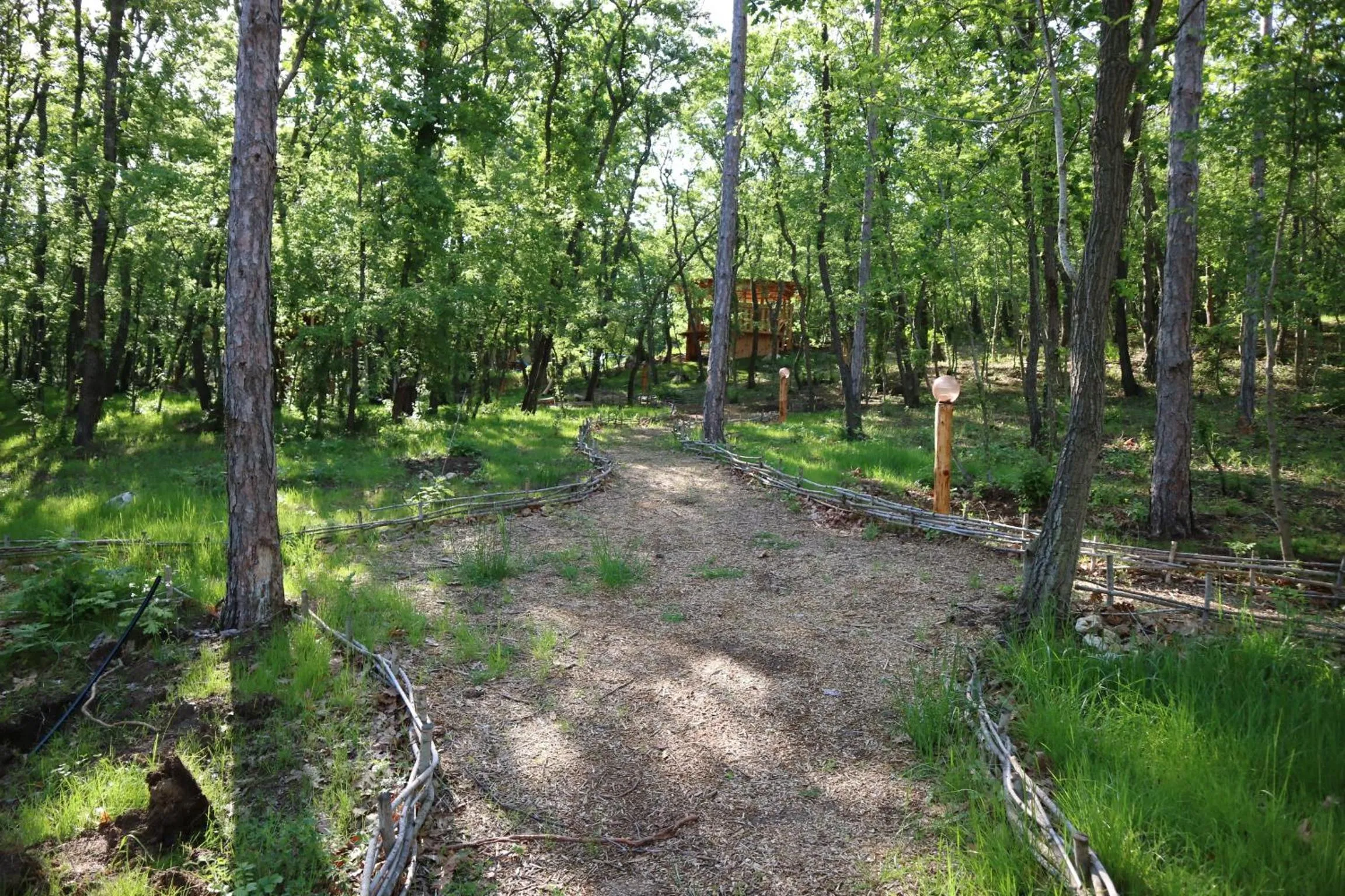 Garden in Park hotel Bellevue