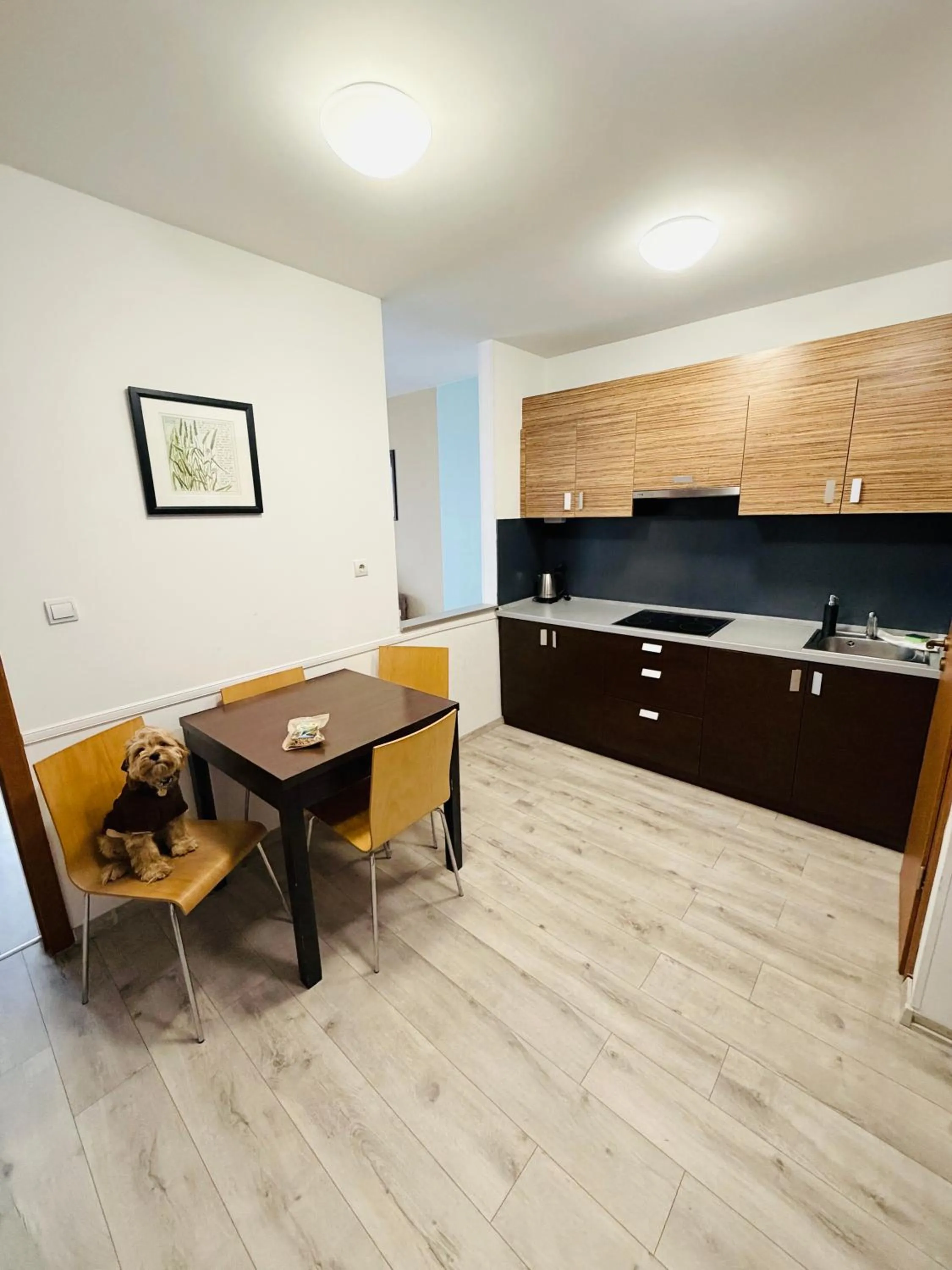 Kitchen or kitchenette in Prater Residence Aparthotel