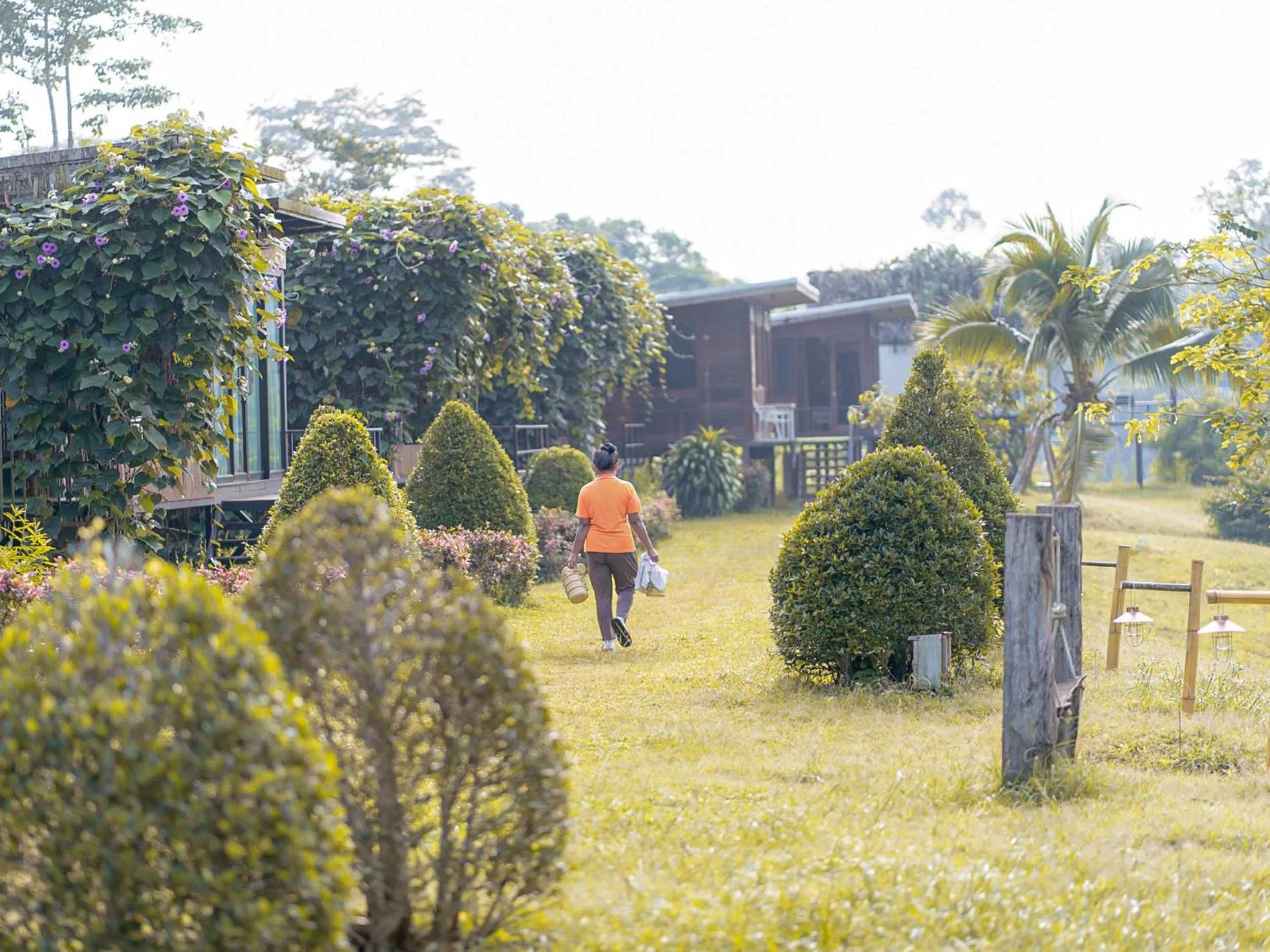 Chiewlan Camp and Resort