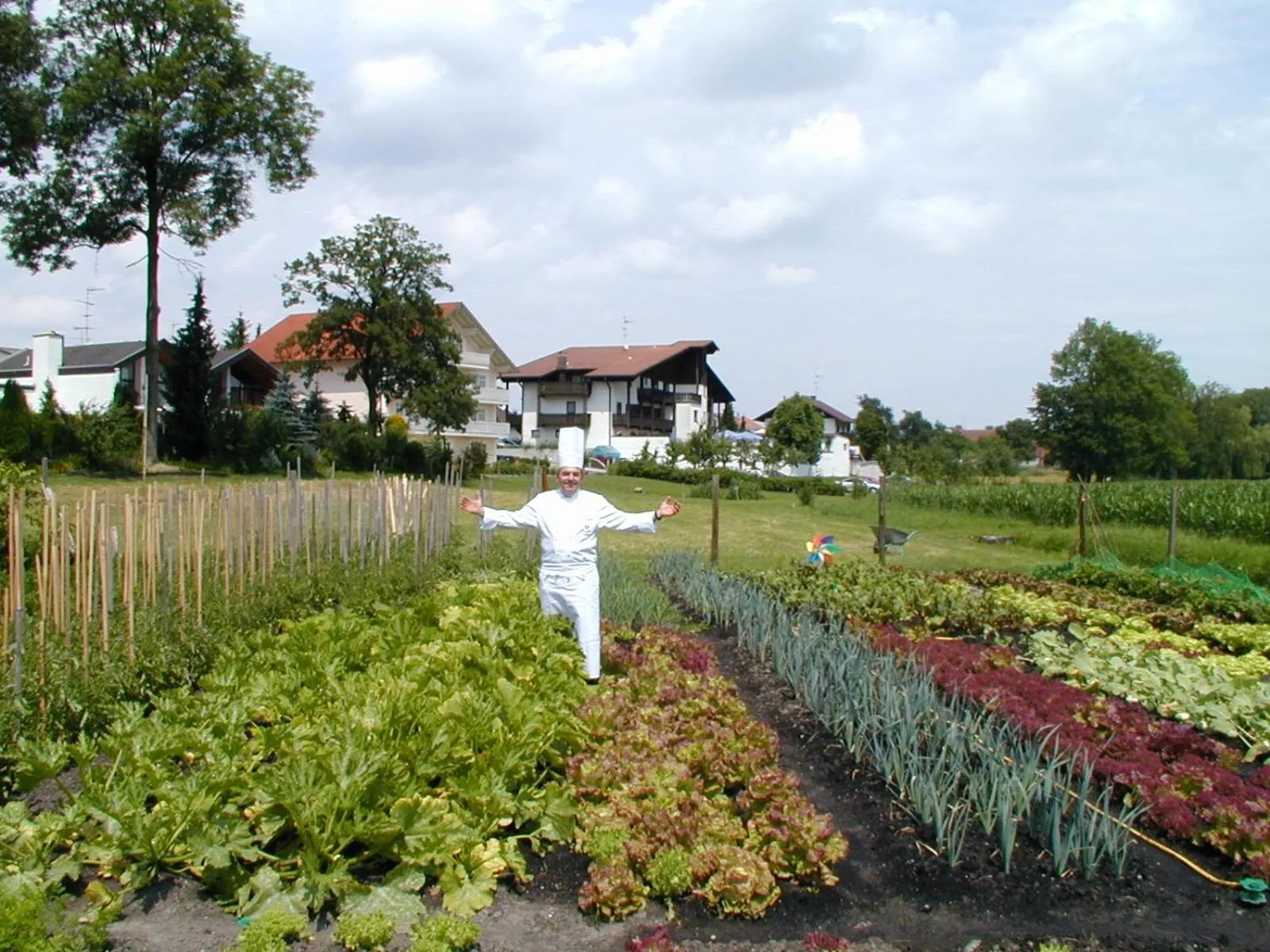 Garden in Kurhotel Würdinger Hof
