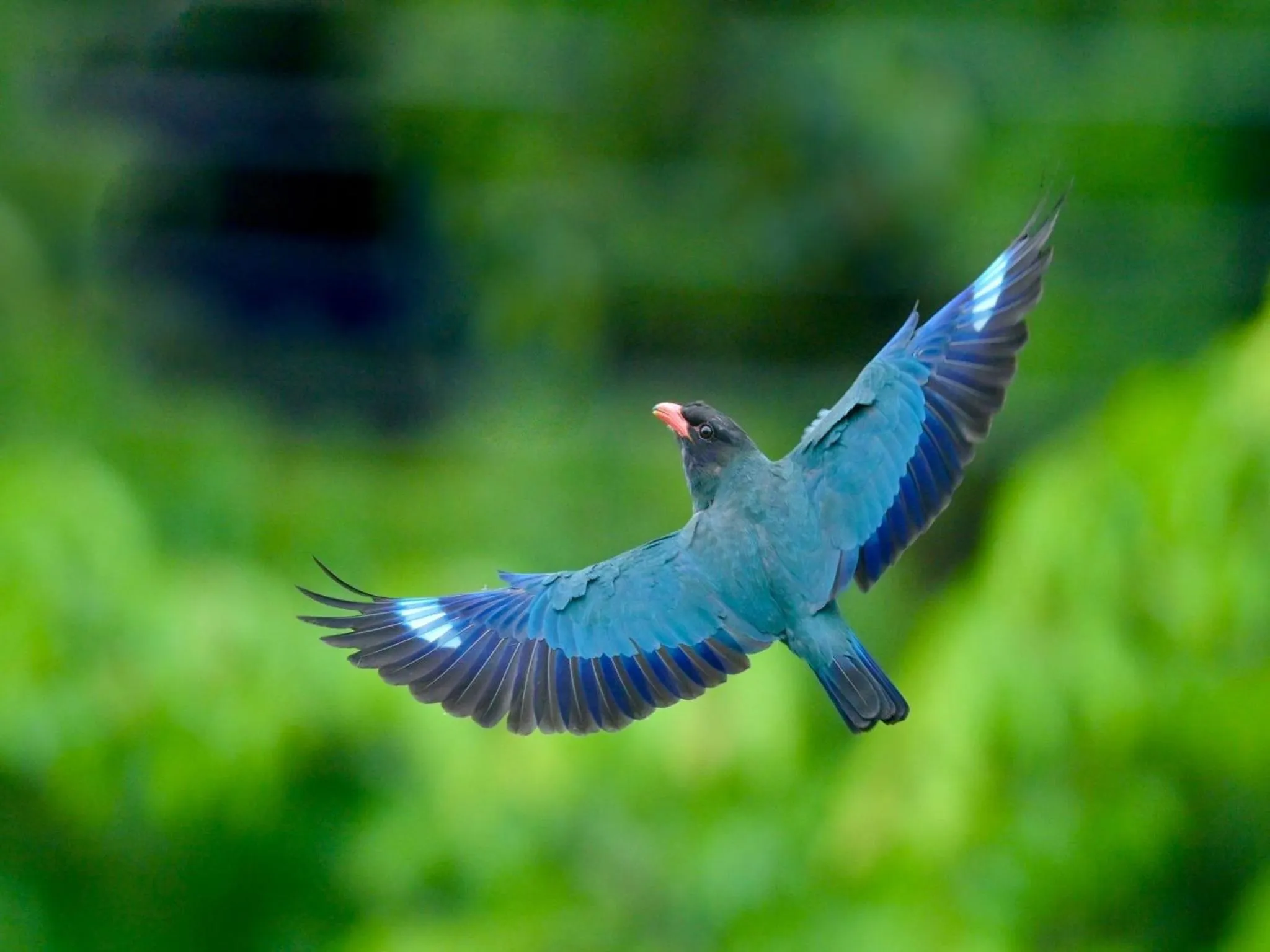 Nearby landmark in Kibi Kogen Resort Hotel