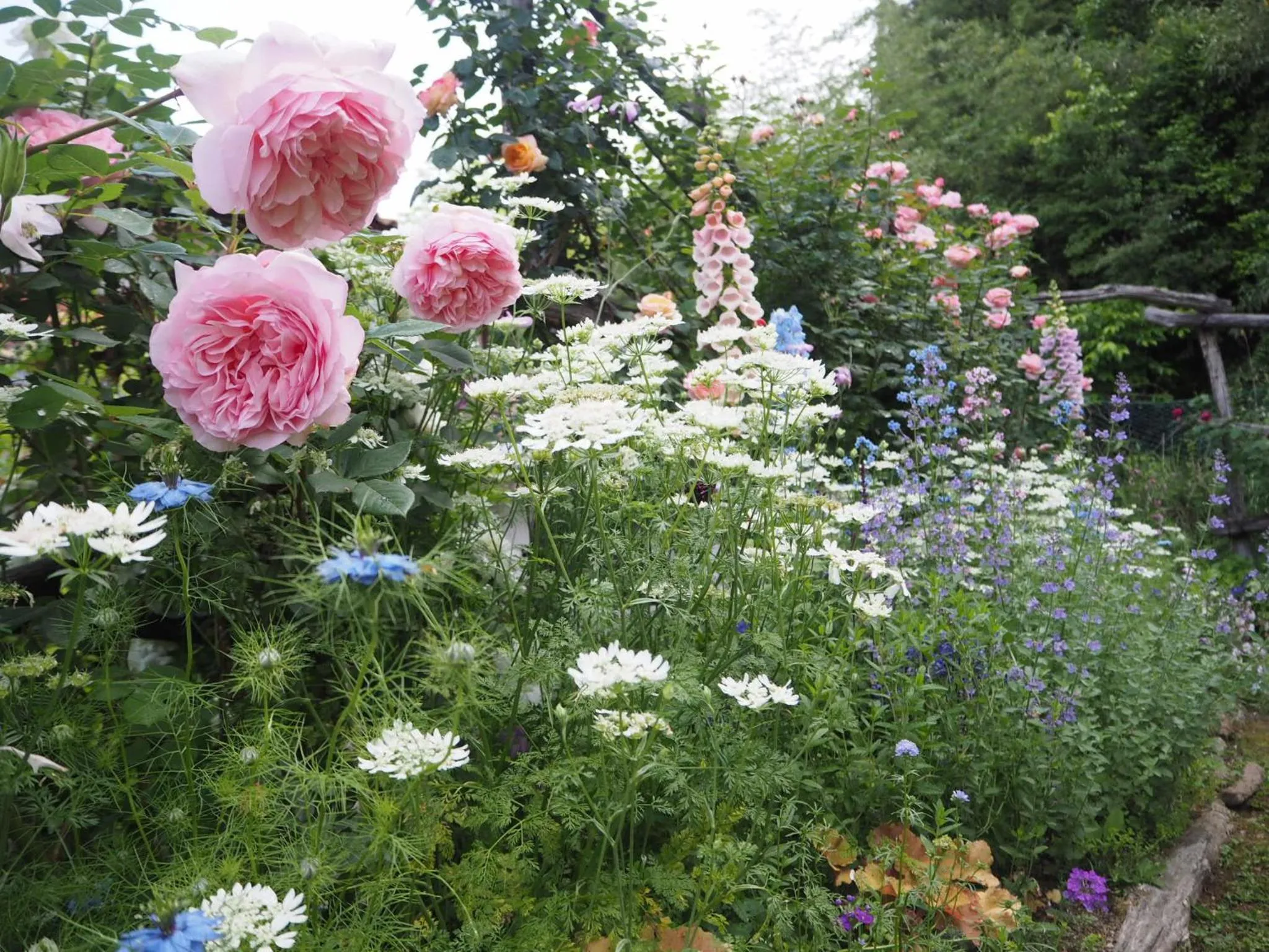 Entertainment in Gyokusenkaku