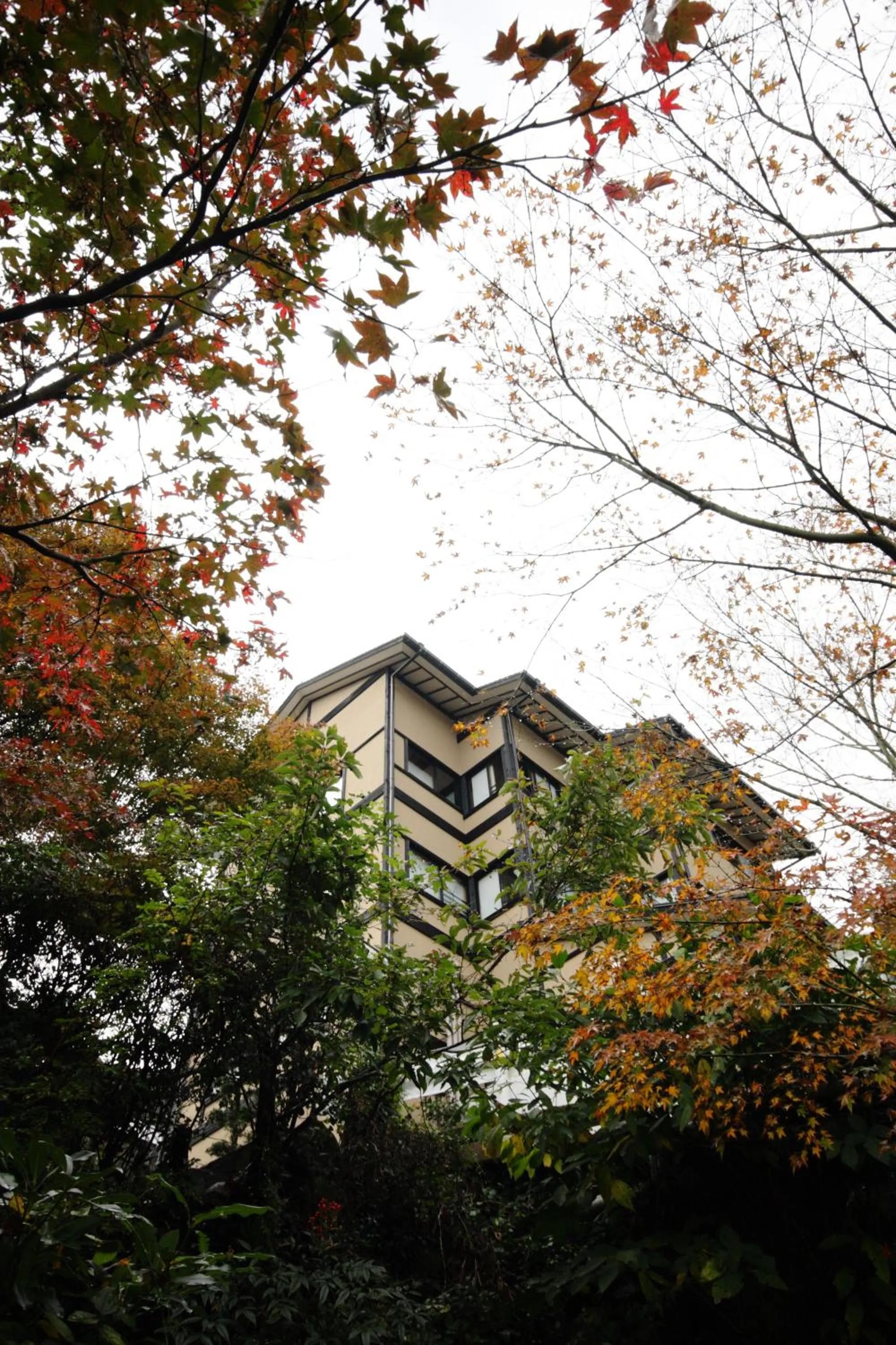 Autumn in Gyokusenkaku