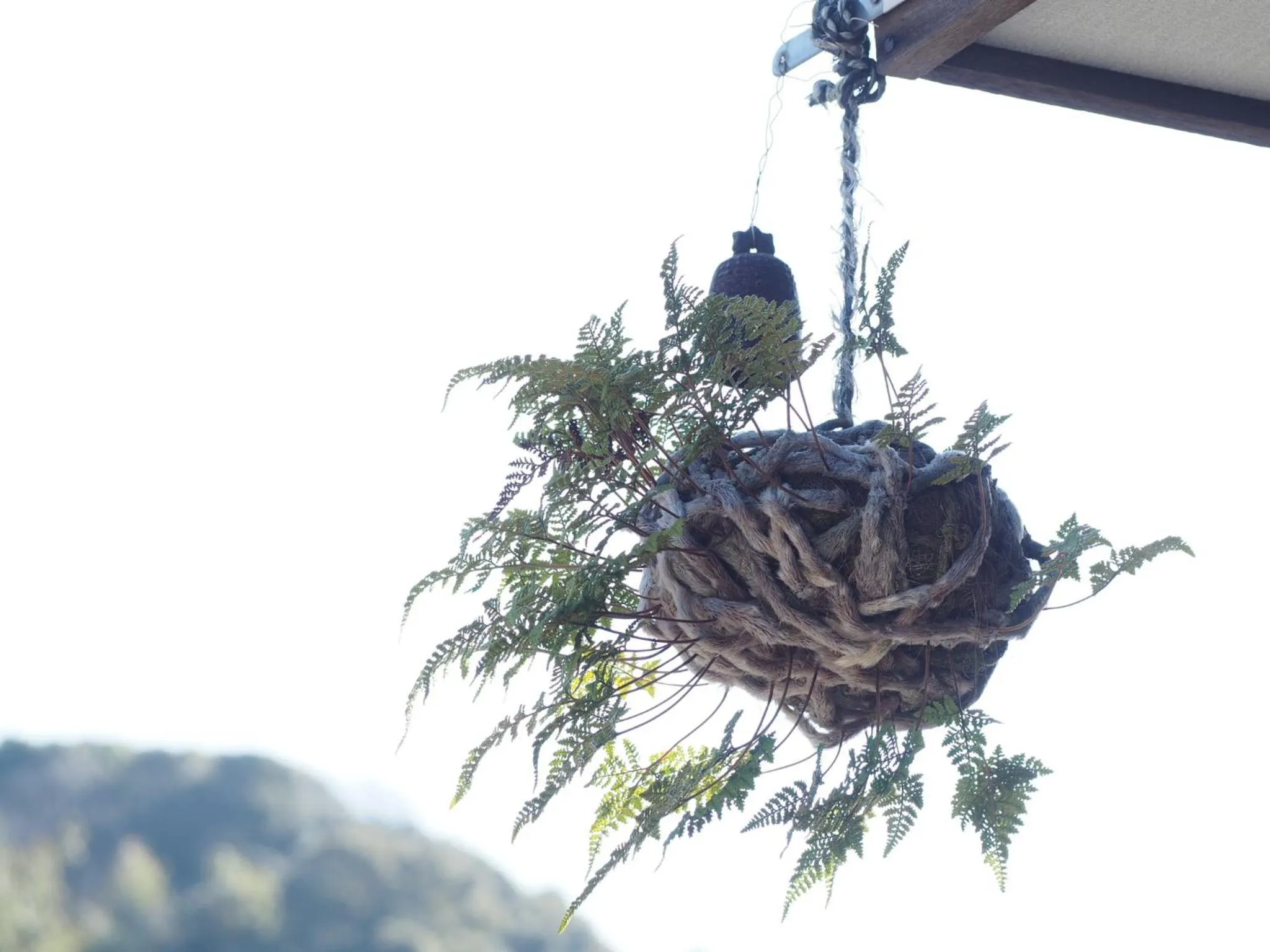 Neighbourhood in Gyokusenkaku