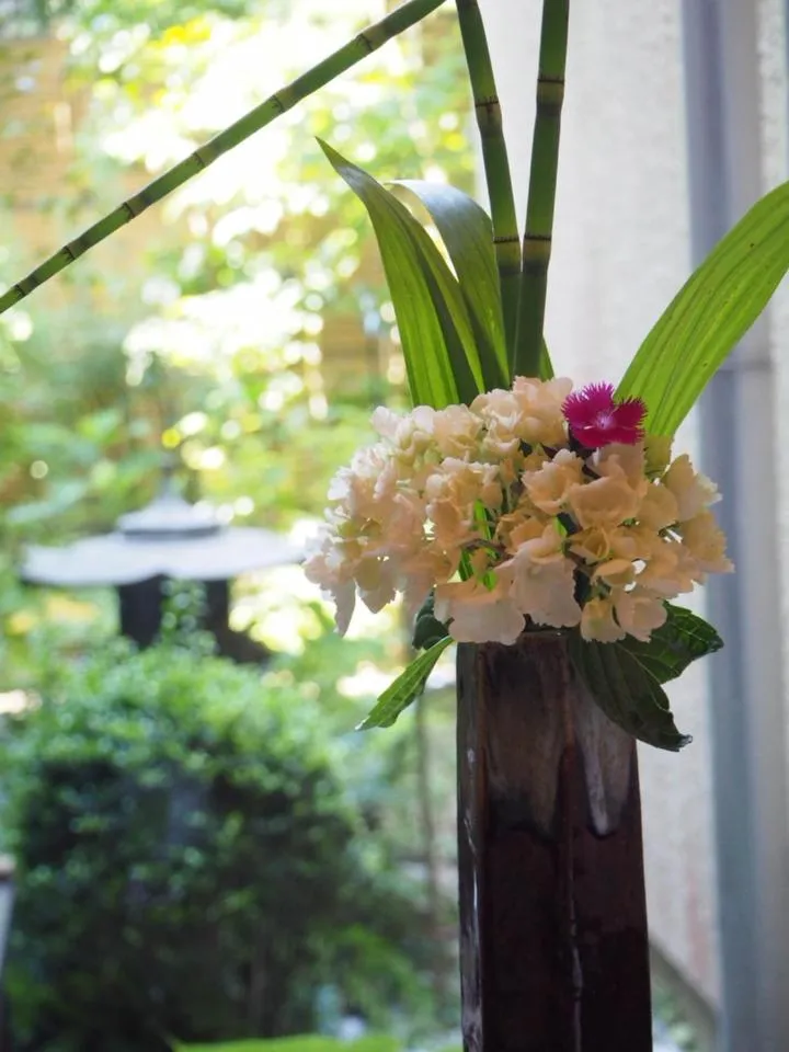 View (from property/room) in Gyokusenkaku