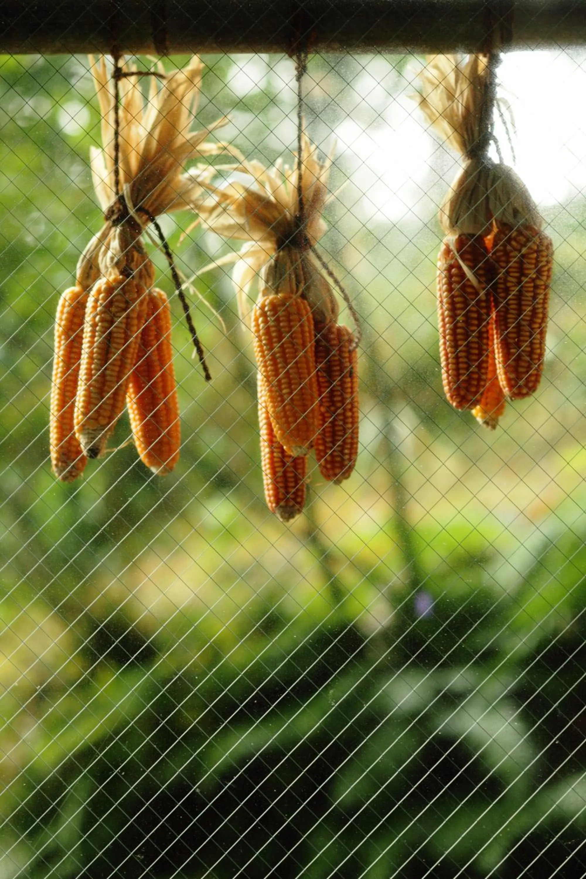 Decorative detail in Gyokusenkaku