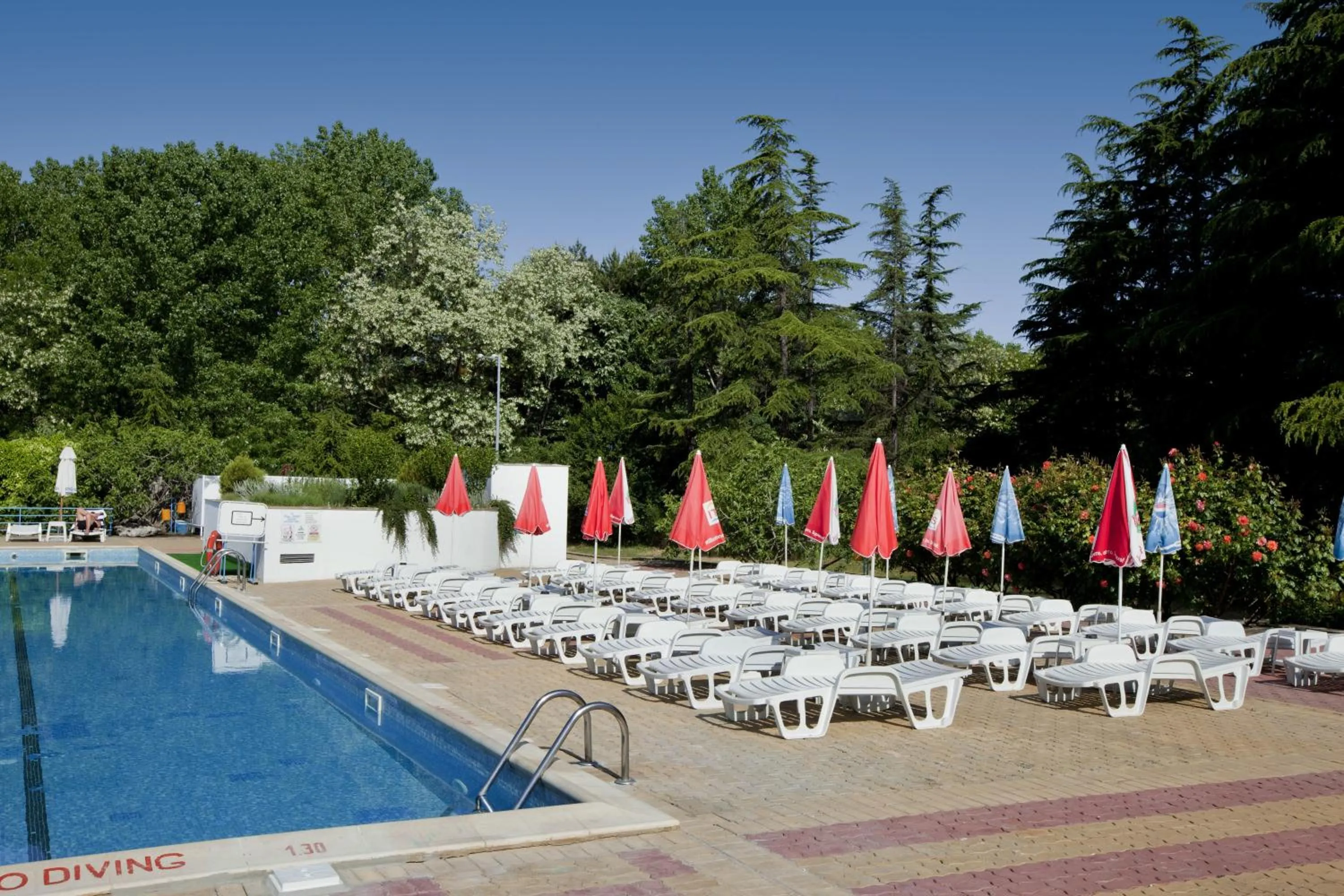 Day in Continental Park Hotel