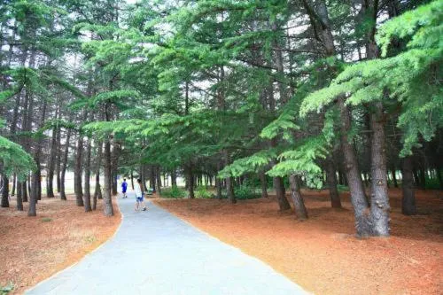 Other in Continental Park Hotel