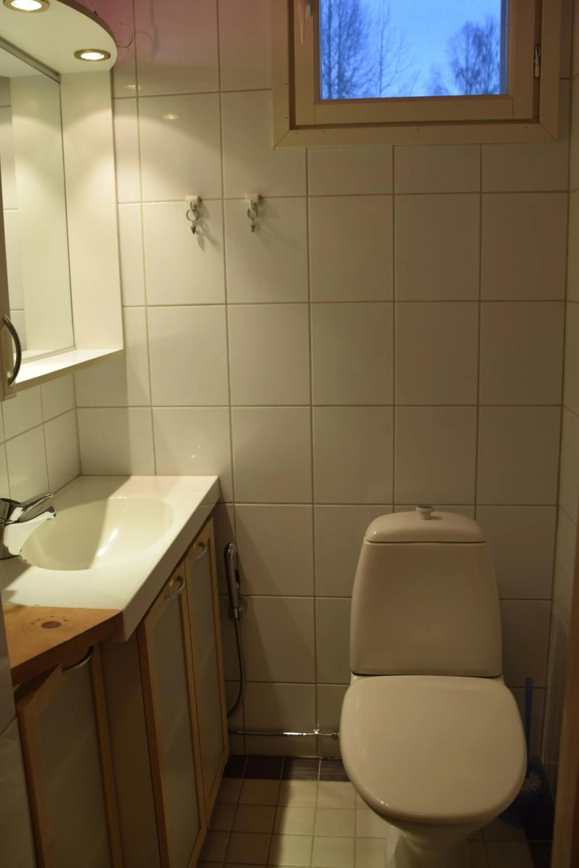 Toilet in Villa Toivo