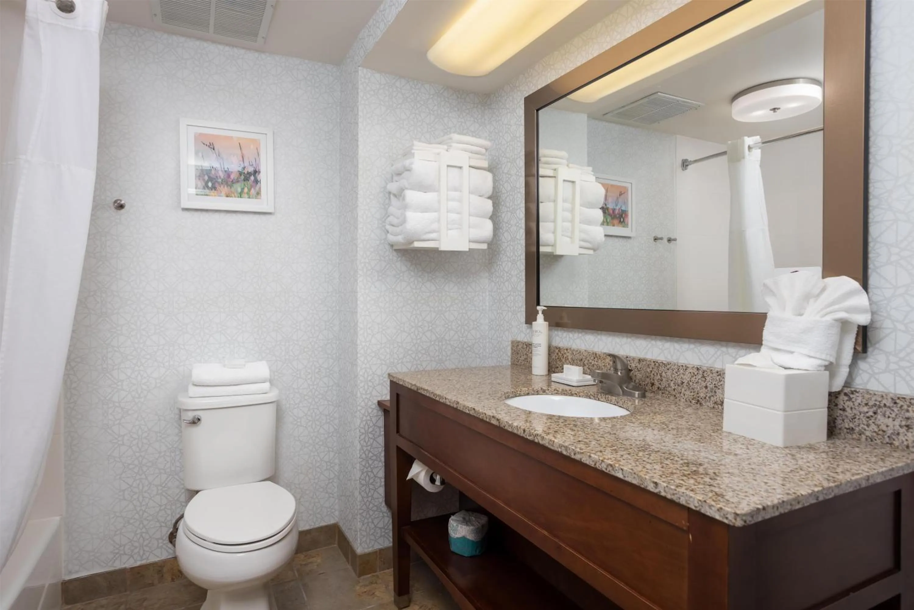 Bathroom in Hampton Inn Carrollton KY