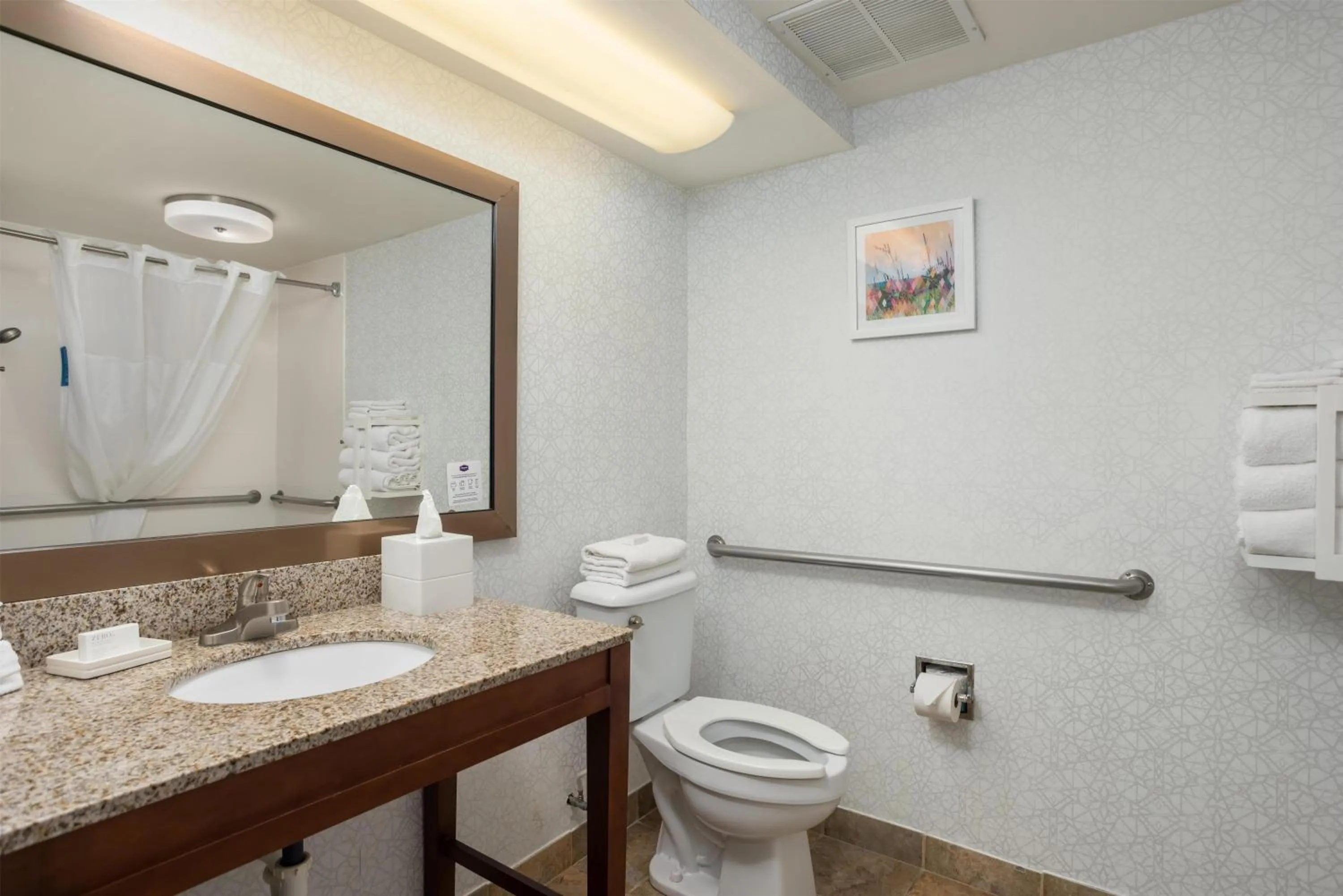 Bathroom in Hampton Inn Carrollton KY