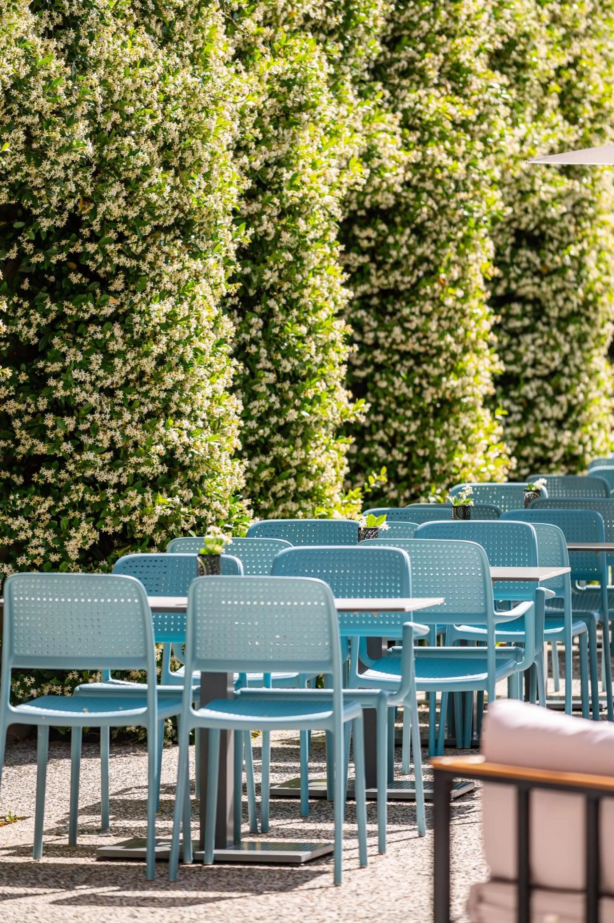 Balcony/Terrace in SOWELL HOTELS Les Chevaliers