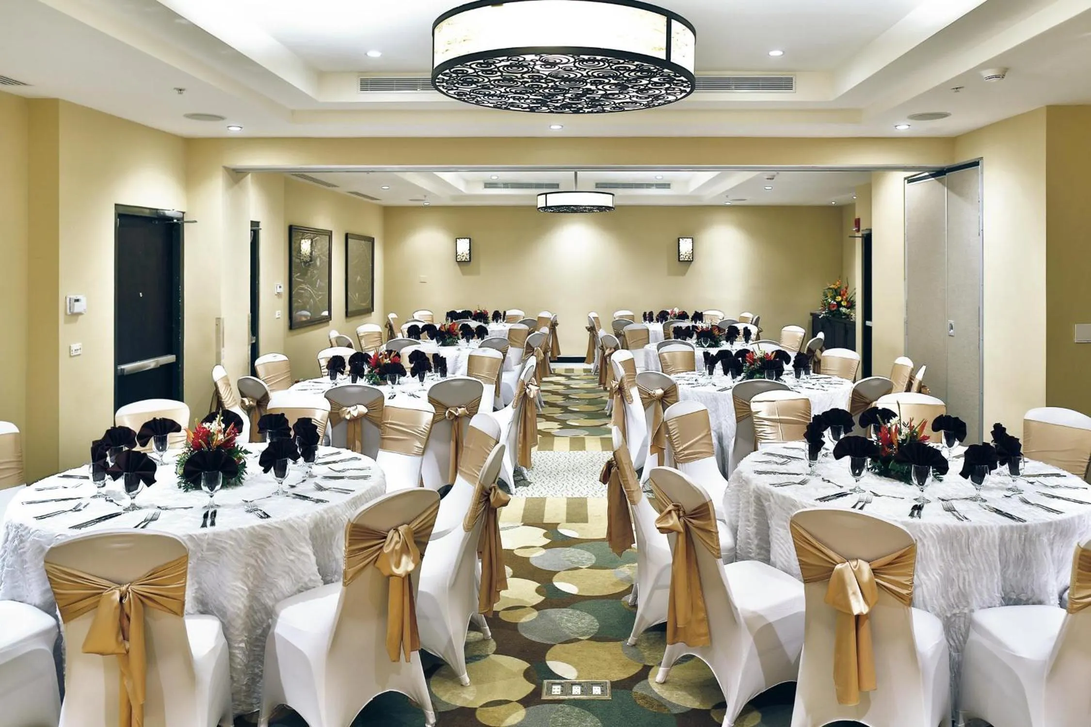 Meeting/conference room in Hilton Garden Inn Guanacaste Airport