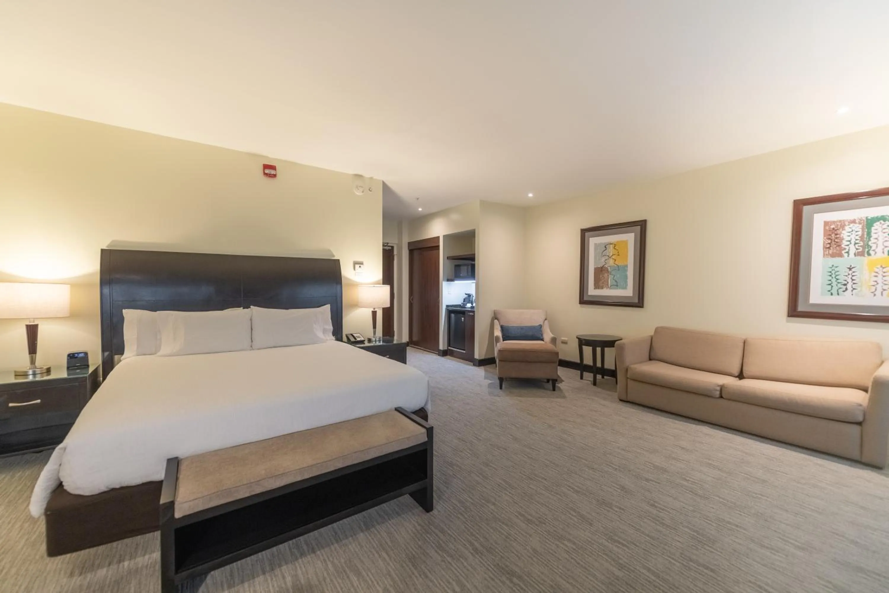 Photo of the whole room, Bed in Hilton Garden Inn Guanacaste Airport