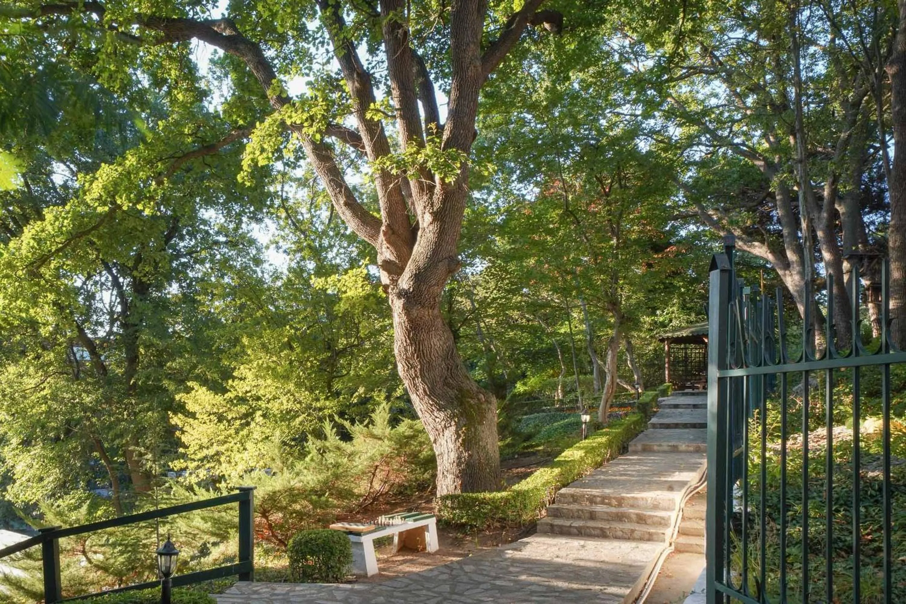 Natural landscape in GRIFID Arabella Hotel - Ultra All inclusive & Aquapark