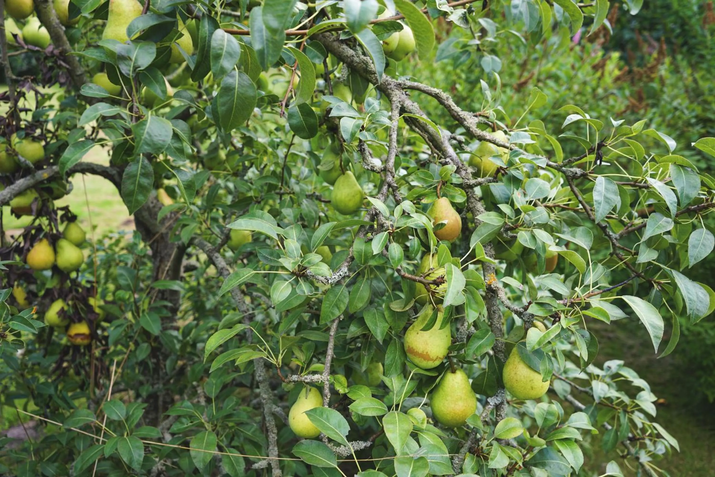 Area and facilities in slube an den Teichen Hoher Fläming