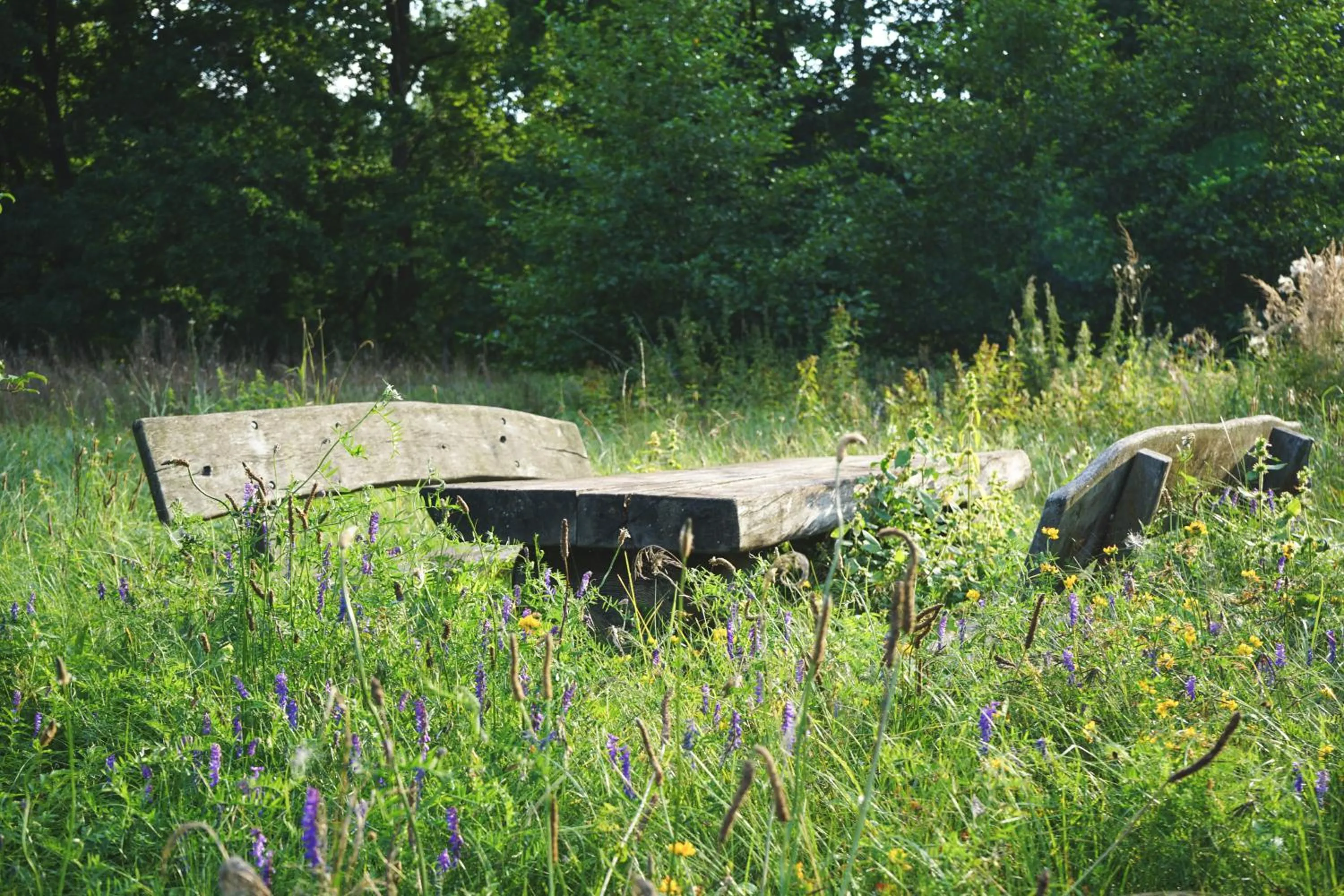 Seating area in slube an den Teichen Hoher Fläming