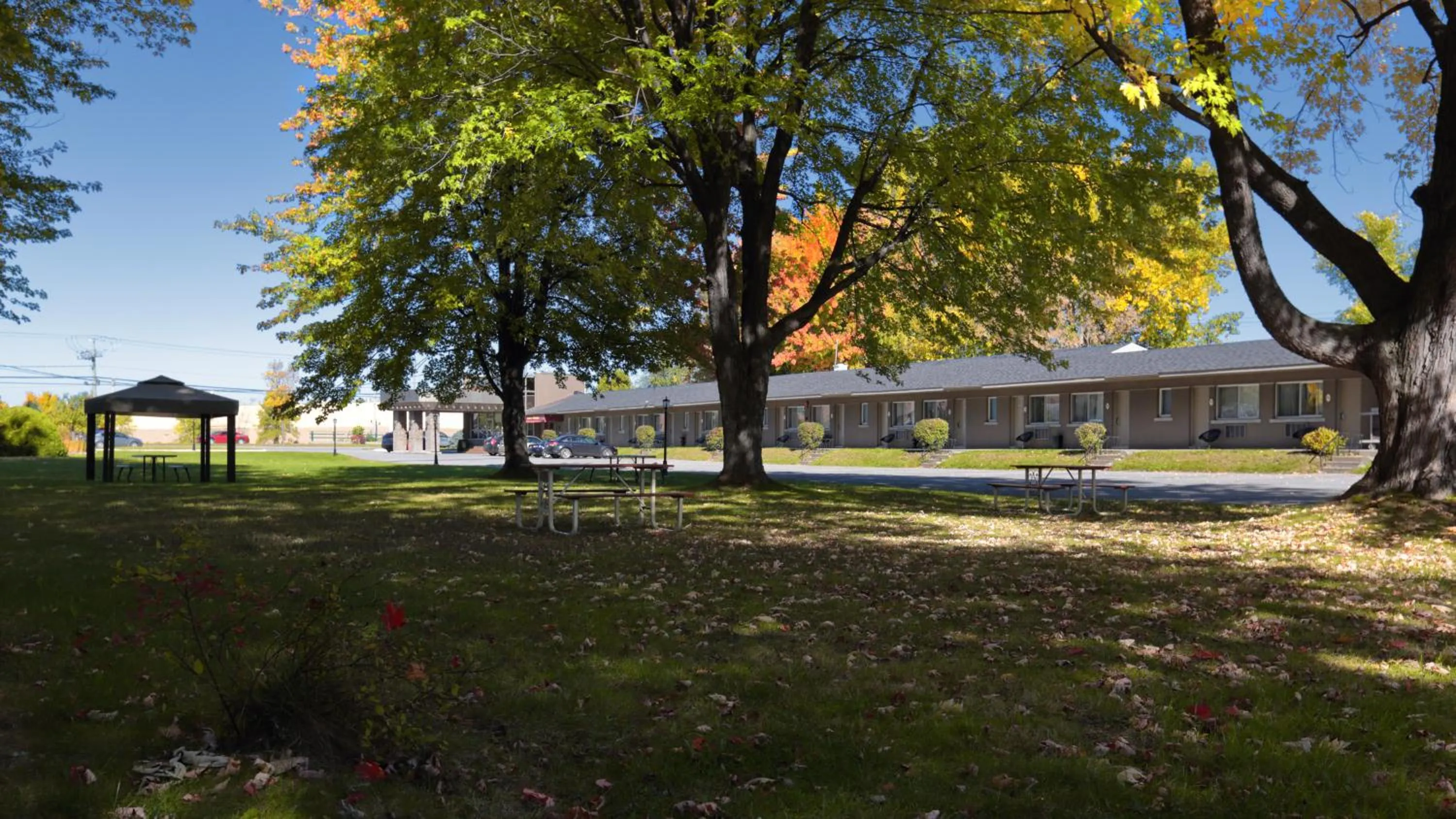 Garden in Le Deauville Motel
