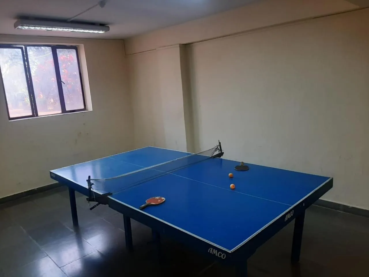 Game Room in The Dhanhills - a valley view hotel in panchgani