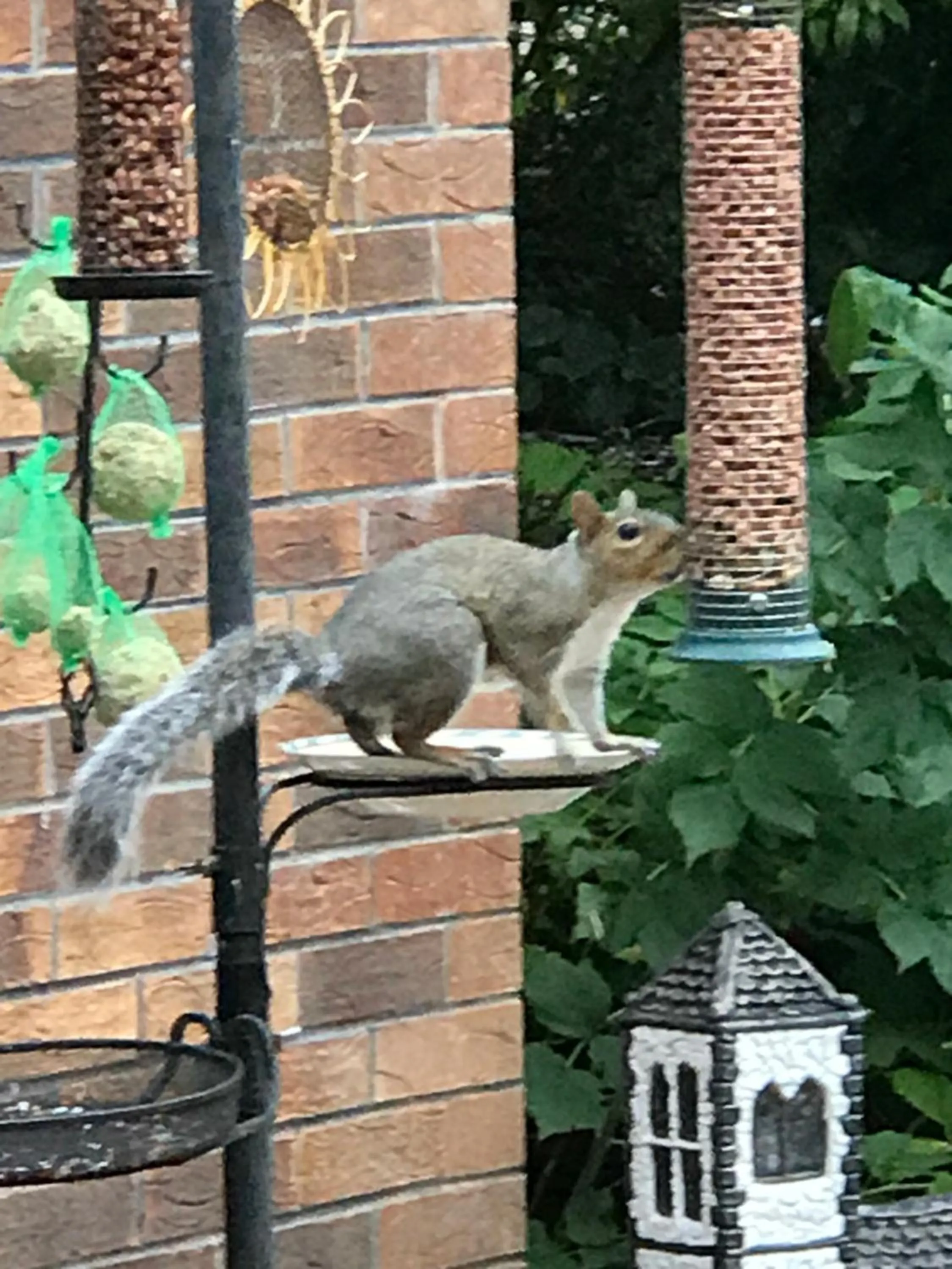 Garden in The Stables B&B
