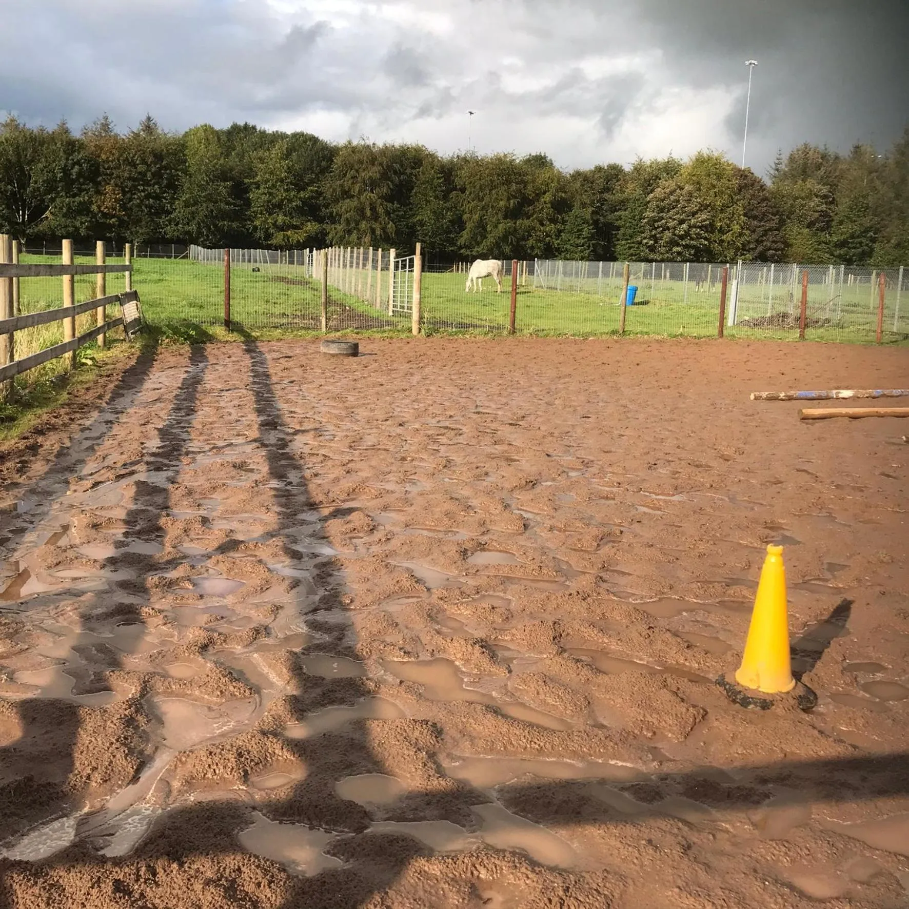 Garden in The Stables B&B