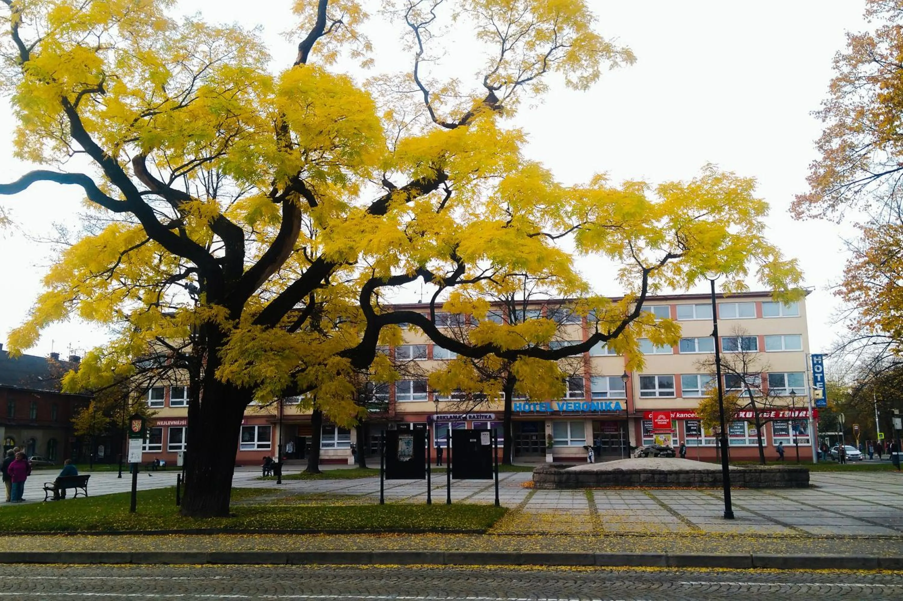 Facade/entrance in Hotel Veronika
