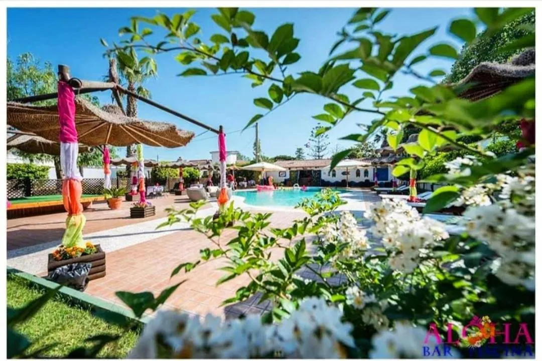 Swimming pool in Venus Park Hotel