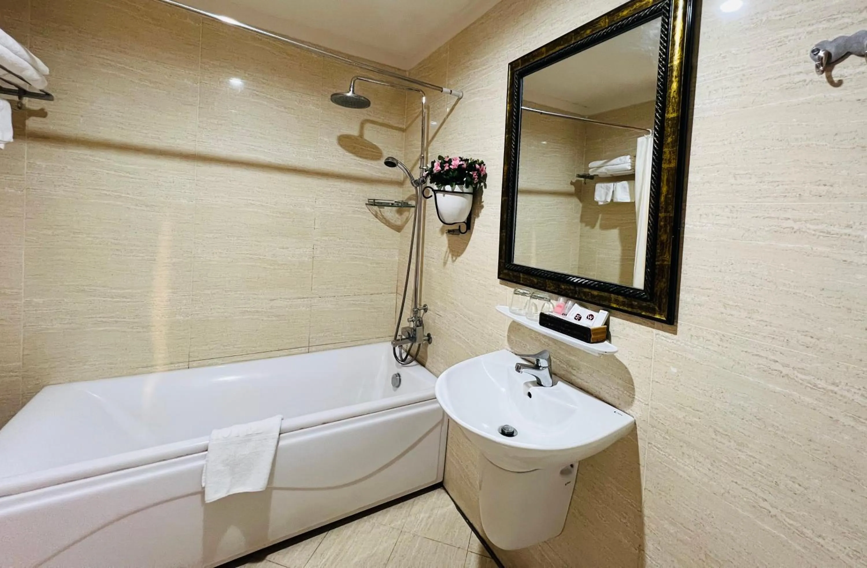 Shower in White Lion Hotel