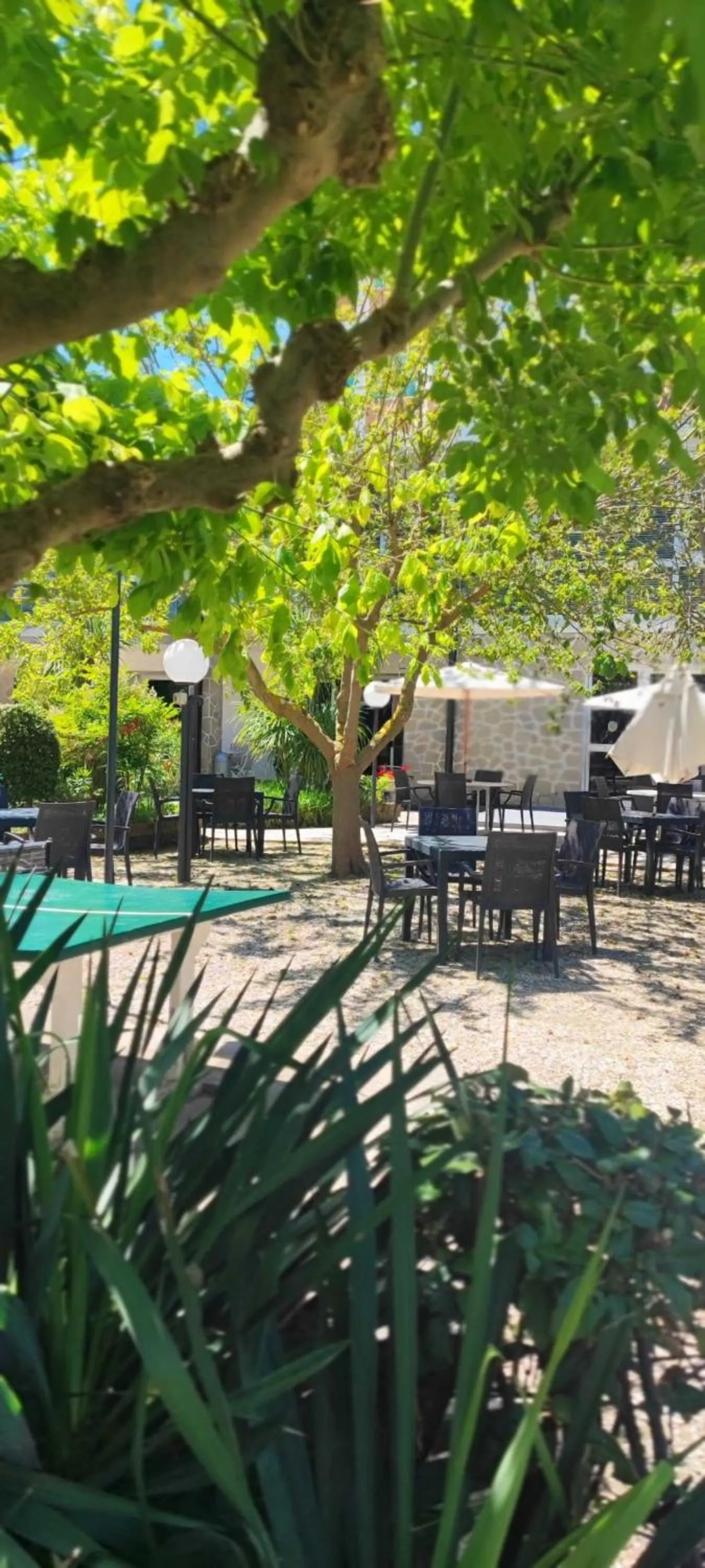 Breakfast in B&B Promenade Hotel Simple con Piscina