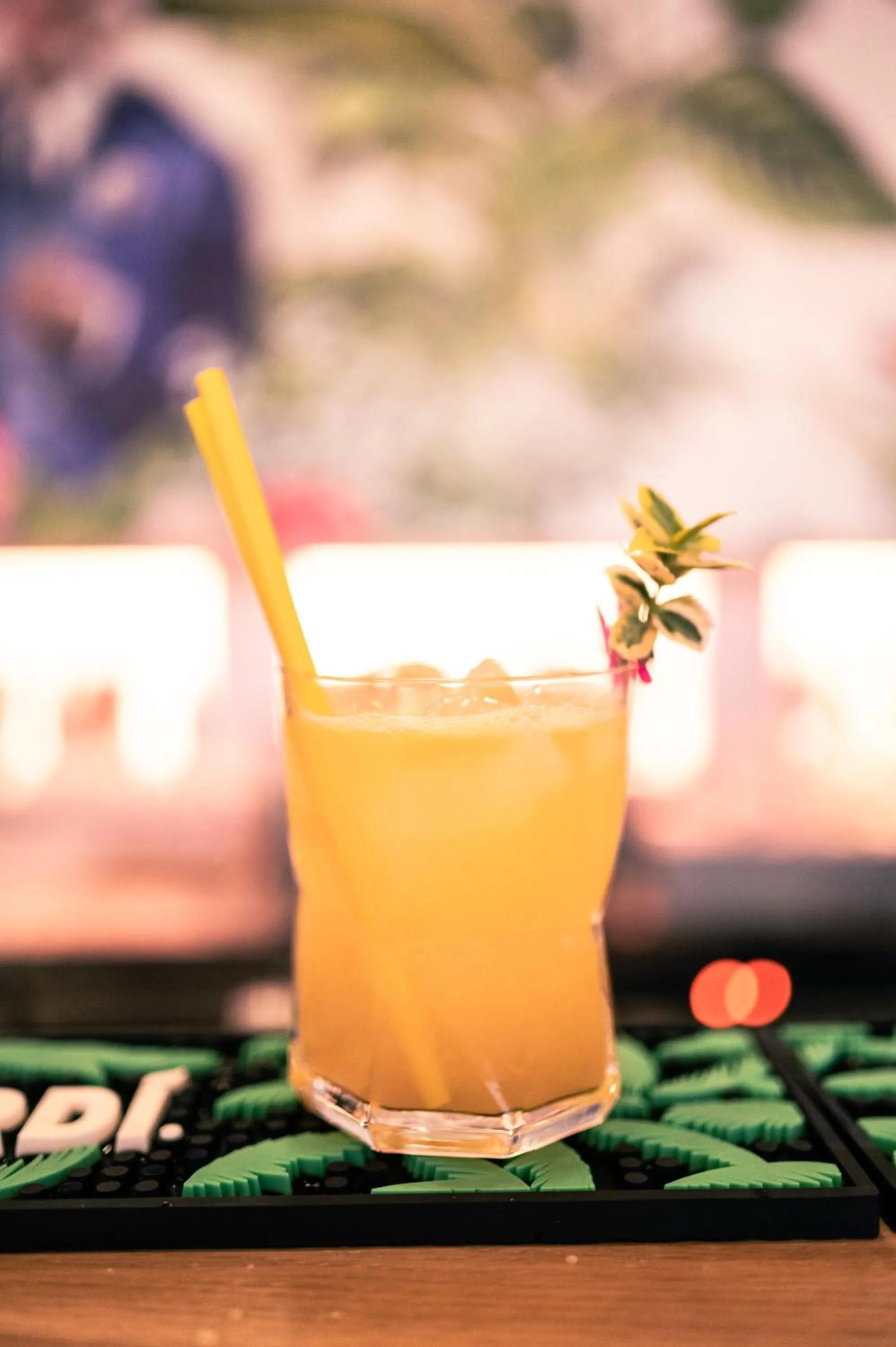 Drinks in Inex Olgica Hotel & SPA