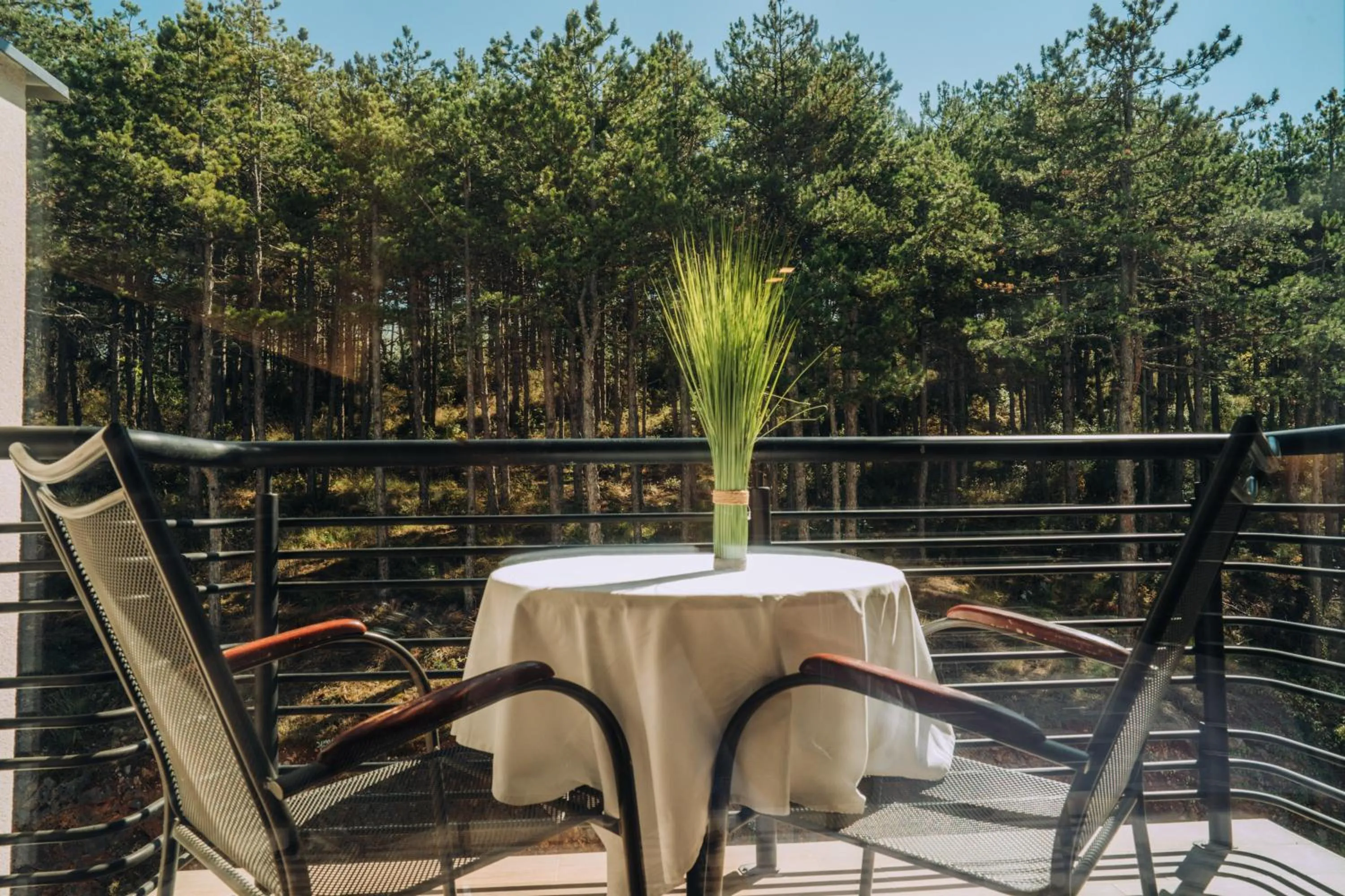 Balcony/Terrace in Inex Olgica Hotel & SPA