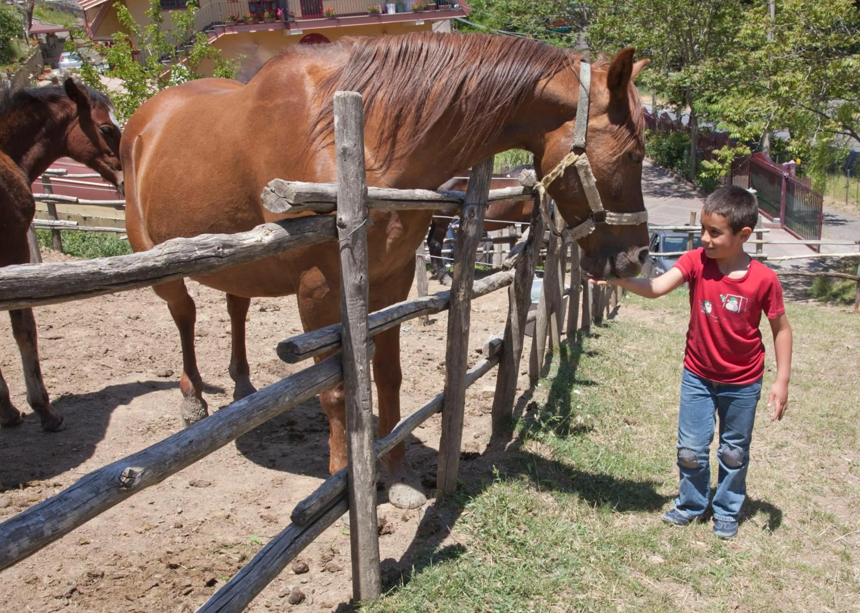 Garden in Agri-Hotel Da Marianna Resort & Spa