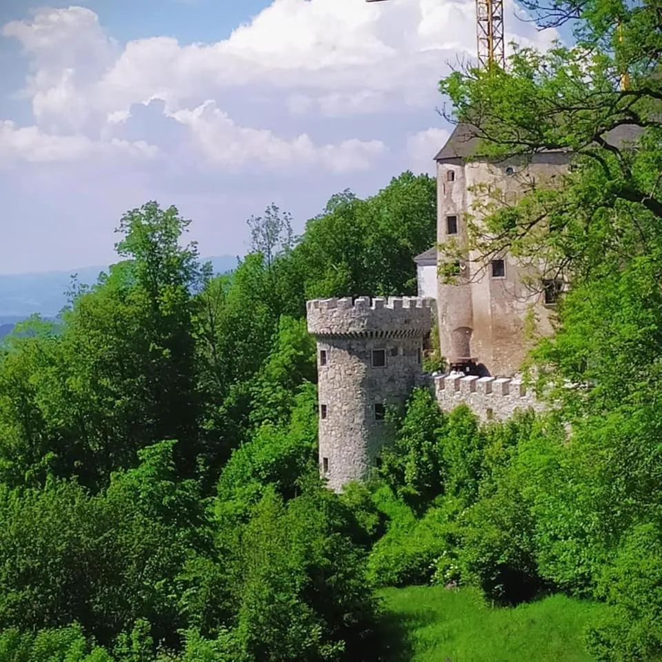 Property building in Burg Plankenstein