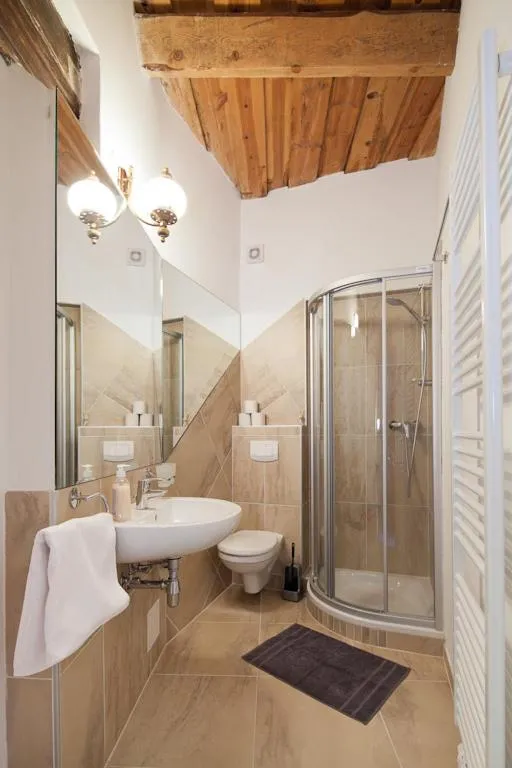 Shower in Burg Plankenstein
