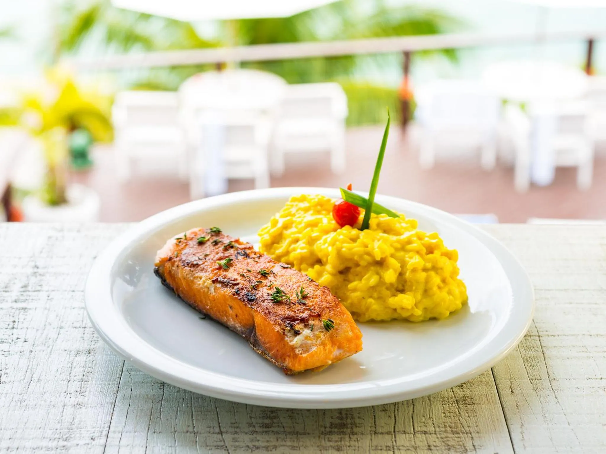 Food in Barra do Piuva Porto Hotel