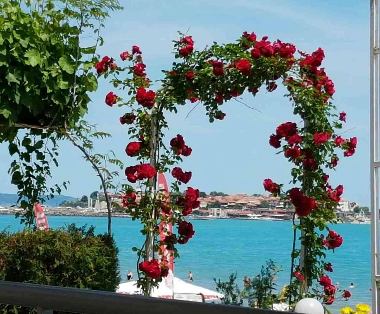 Sea view in Aphrodite Beach Hotel