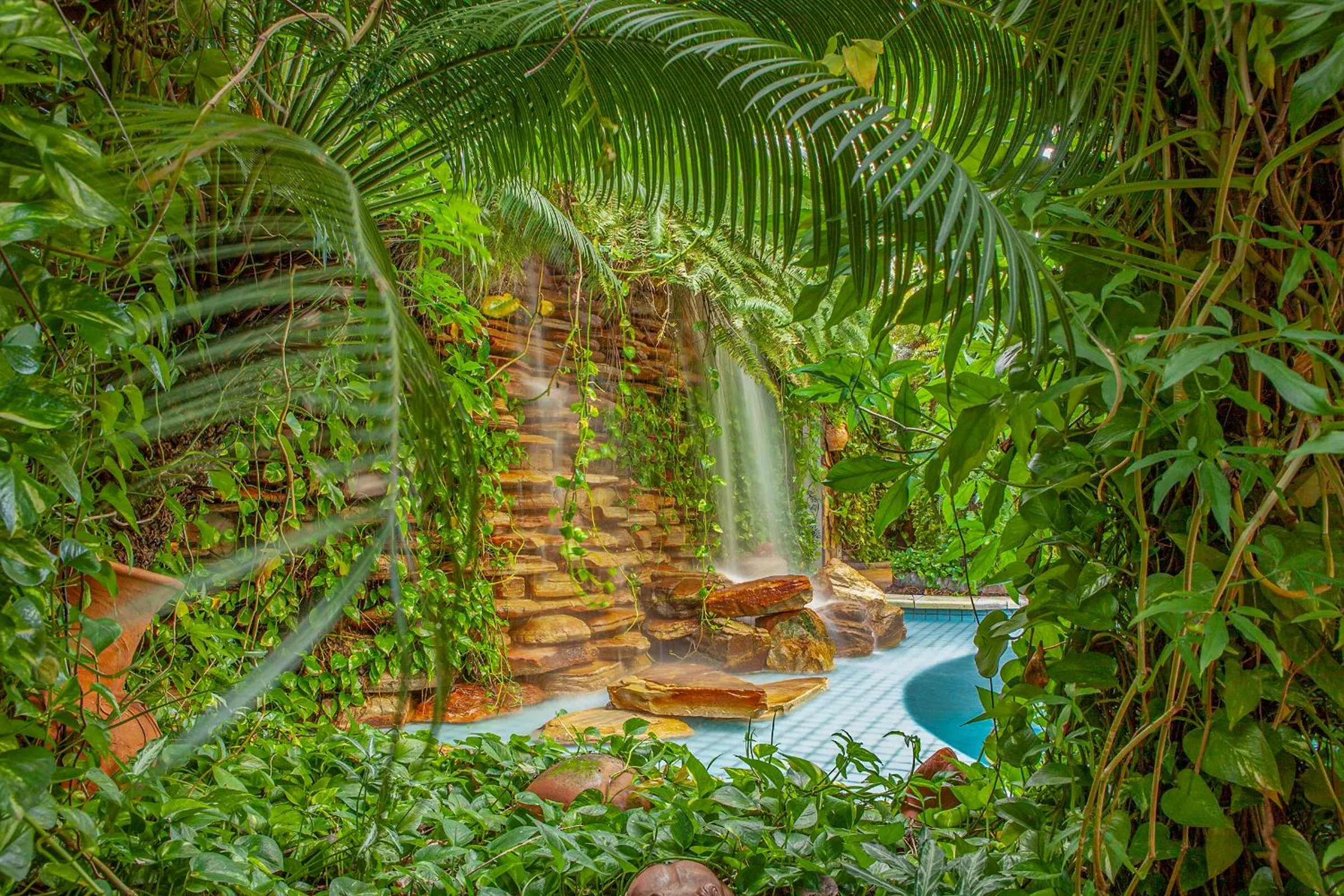 Spring in Amazon Plaza Hotel