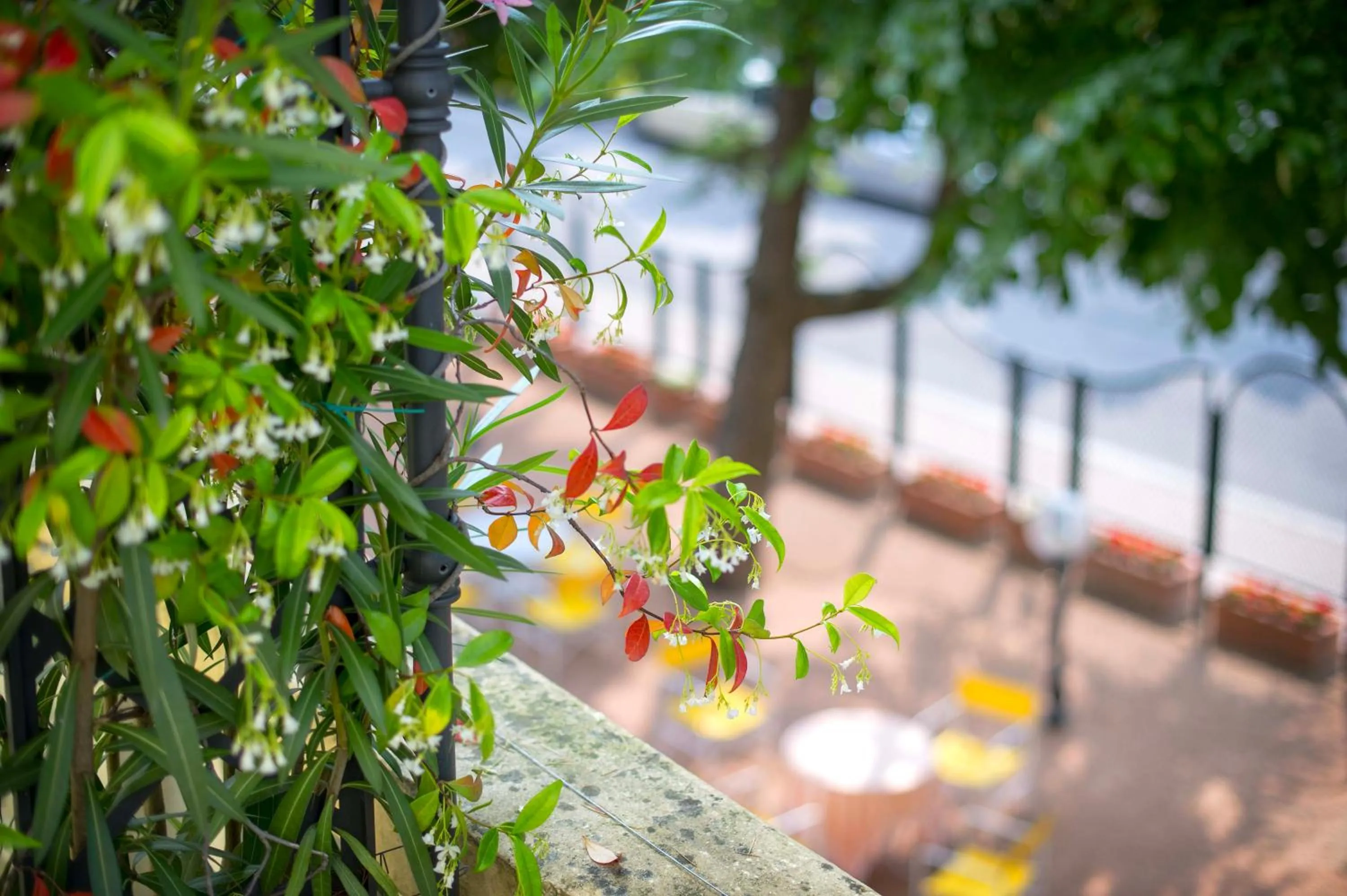 Property building in Terme Preistoriche Resort & Spa