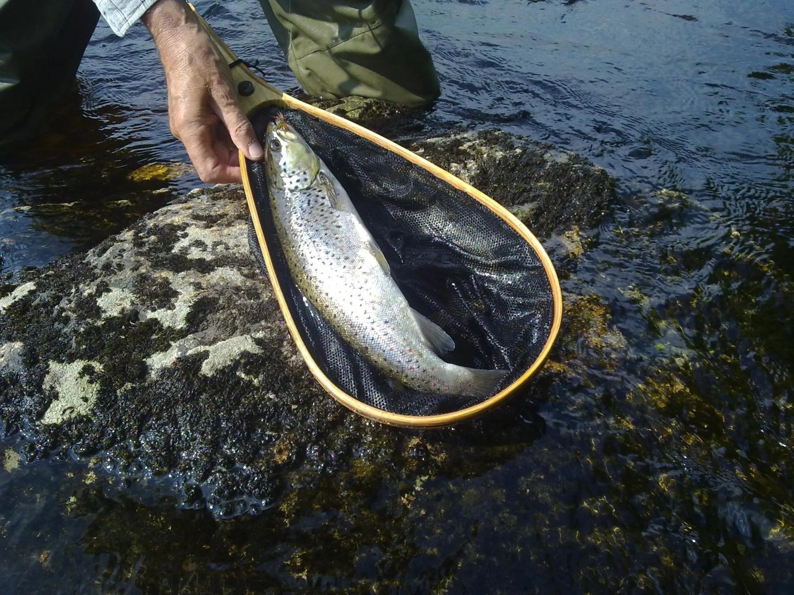 Fishing in Hotelli Kainuu