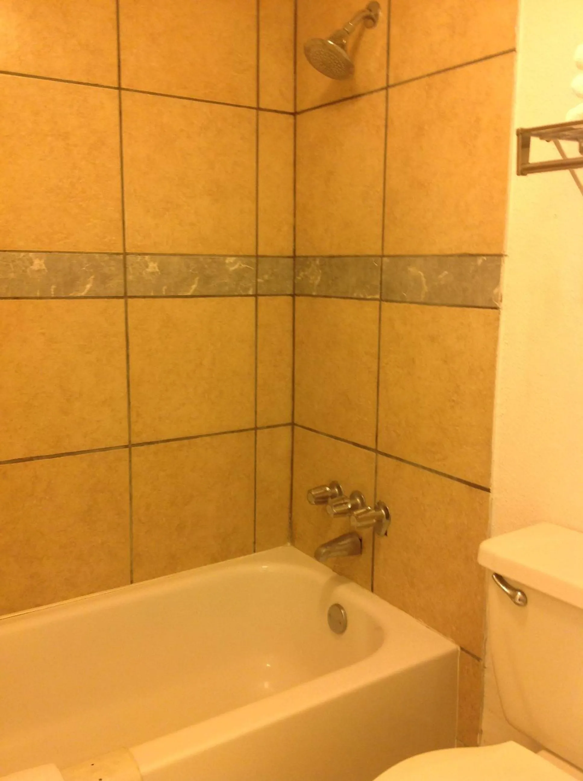 Bathroom in Houston Inn and Suites