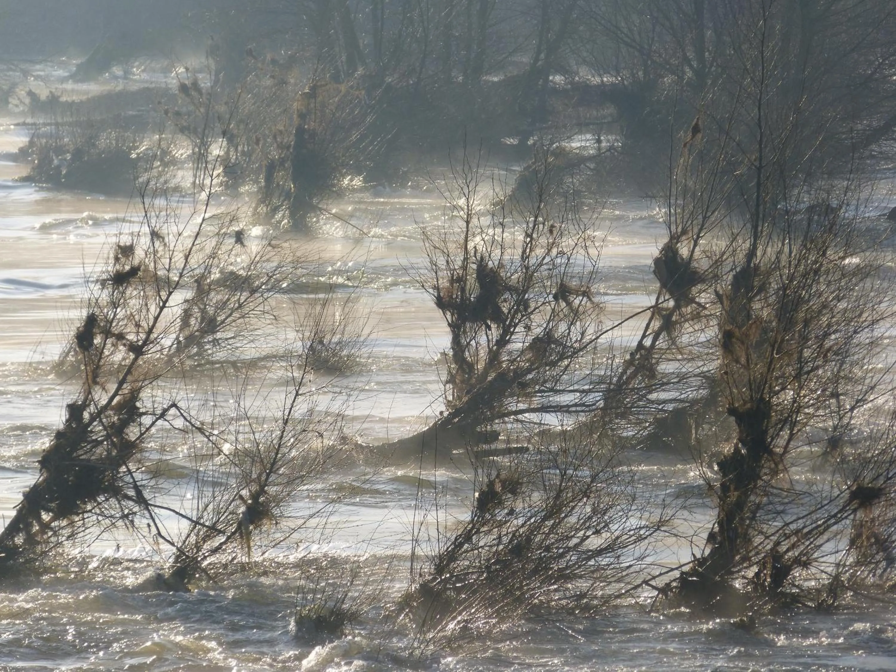 Area and facilities in Logis Hôtel Le Relais Louis XI