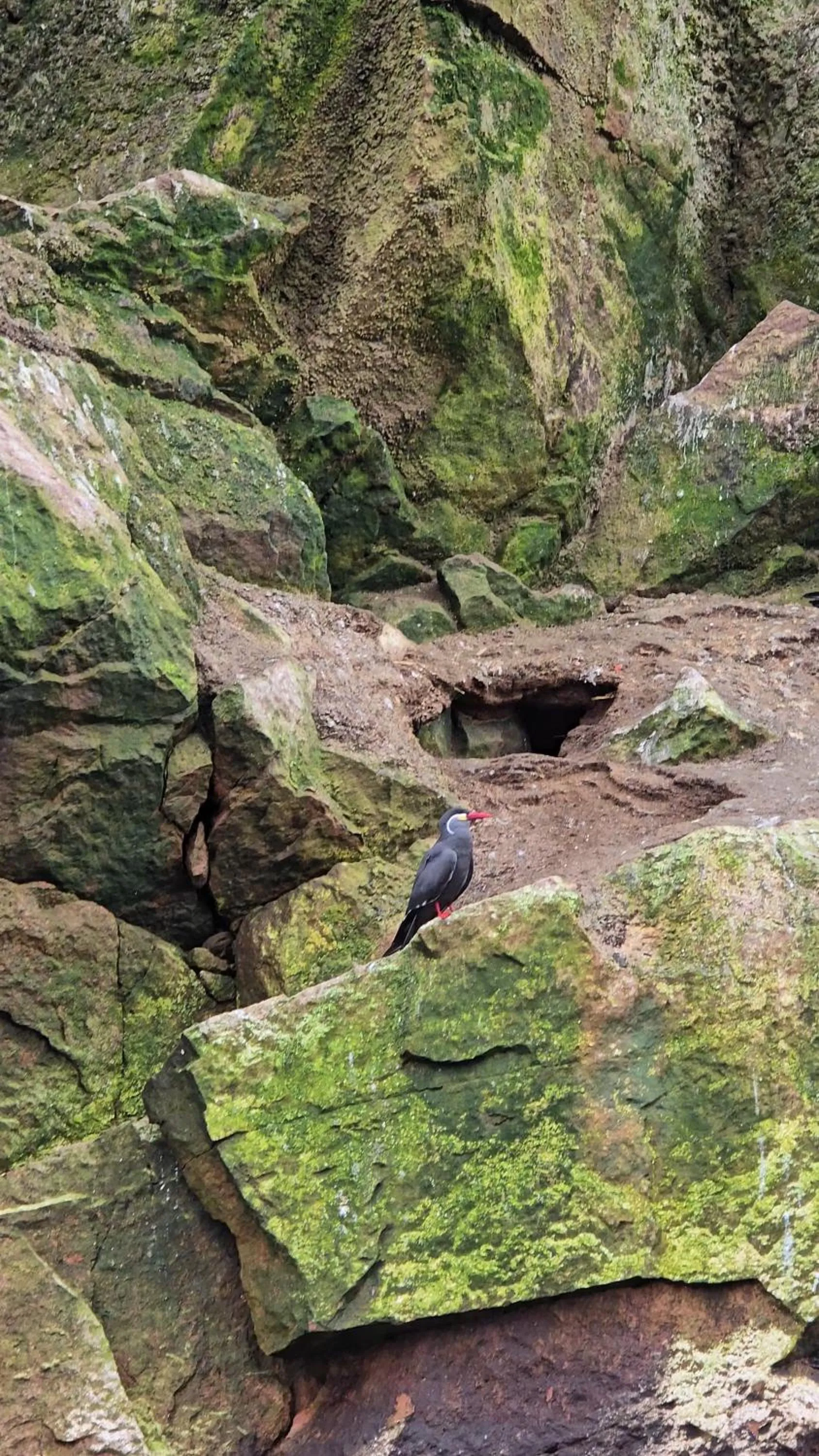 Natural landscape in Hotel Riviera Inka Paracas