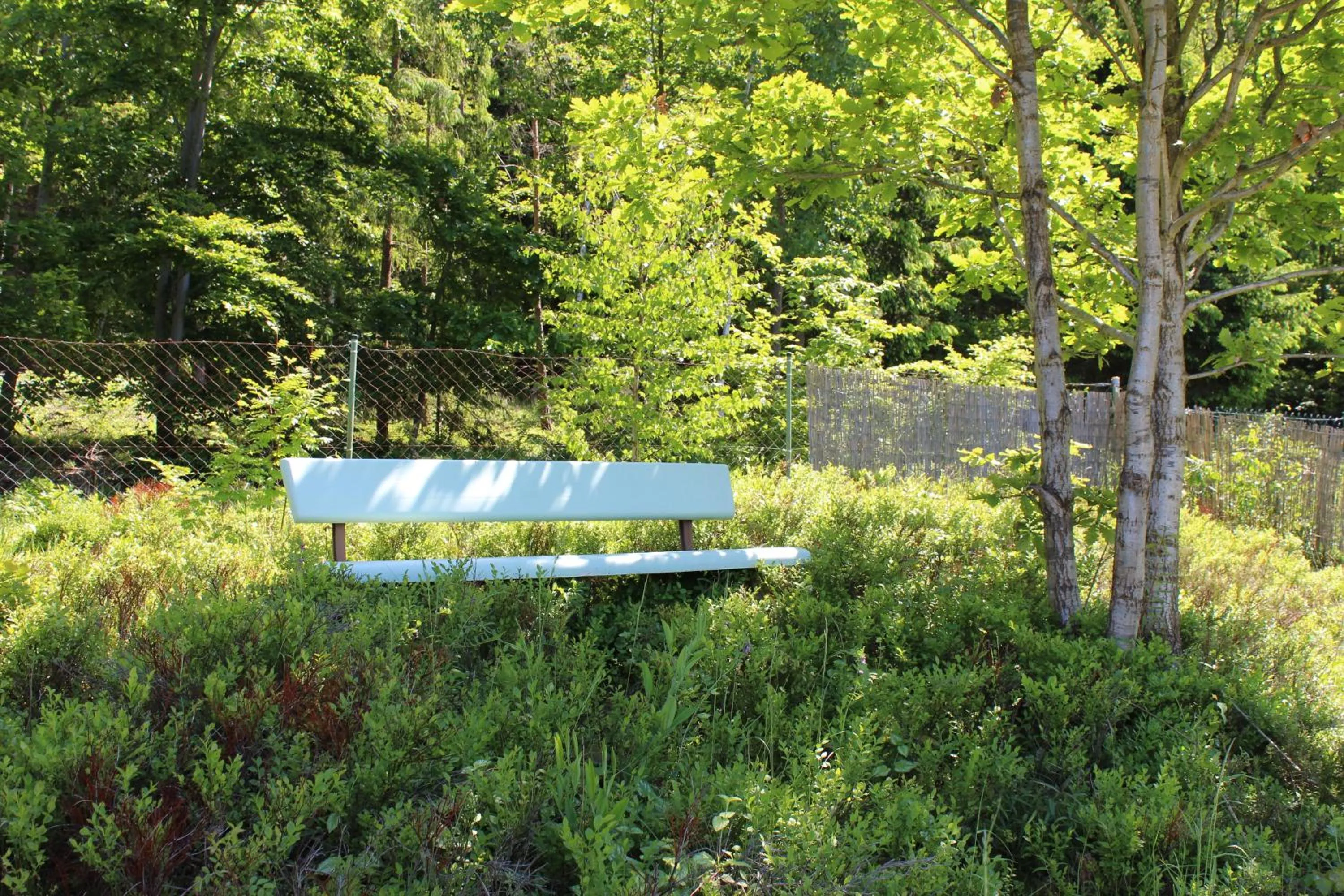 Garden in Gästehaus Hochrhönblick