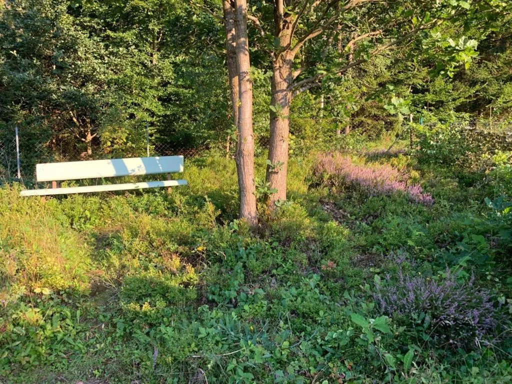 Balcony/Terrace in Gästehaus Hochrhönblick