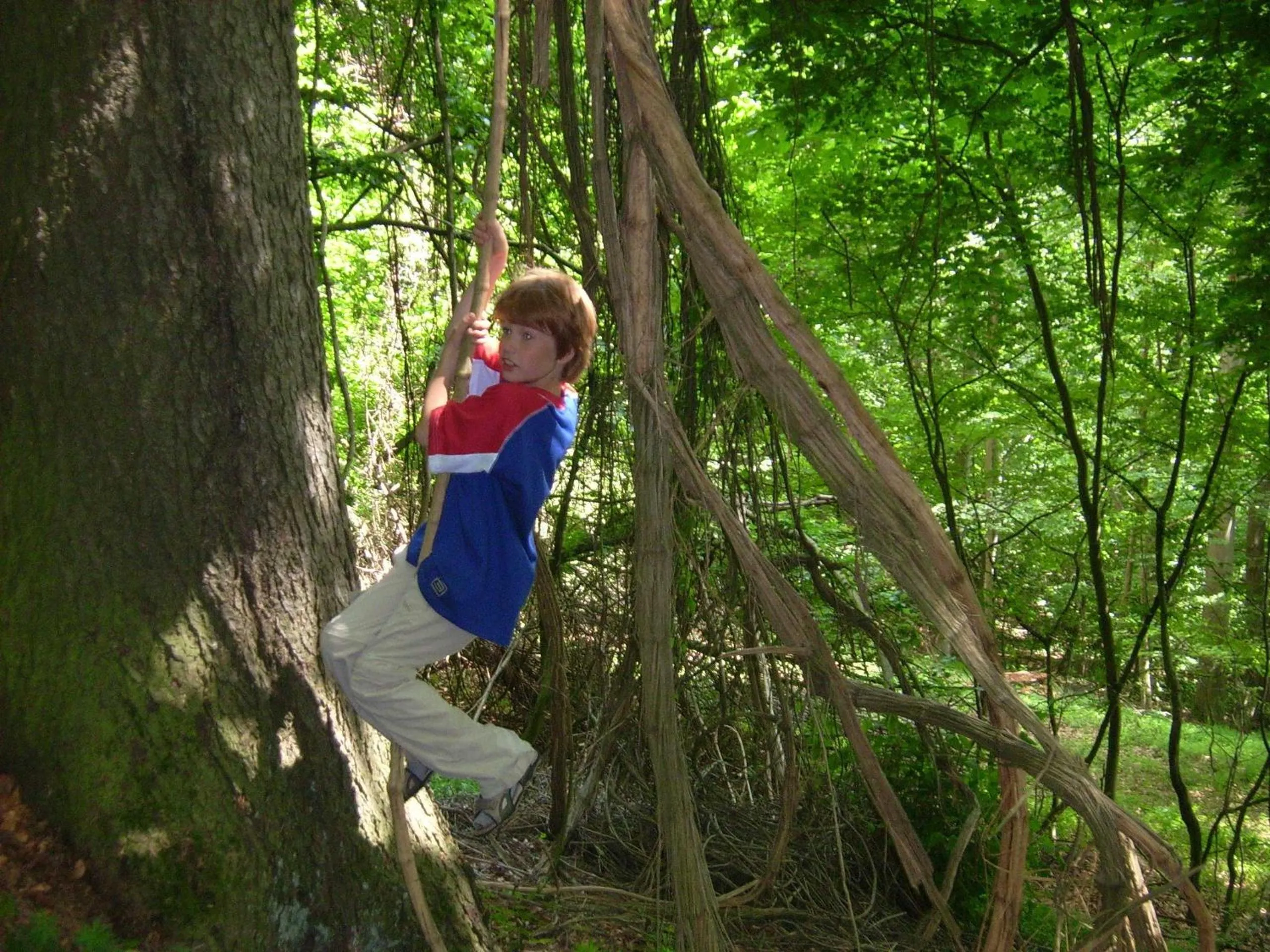 Area and facilities in Gästehaus Hochrhönblick