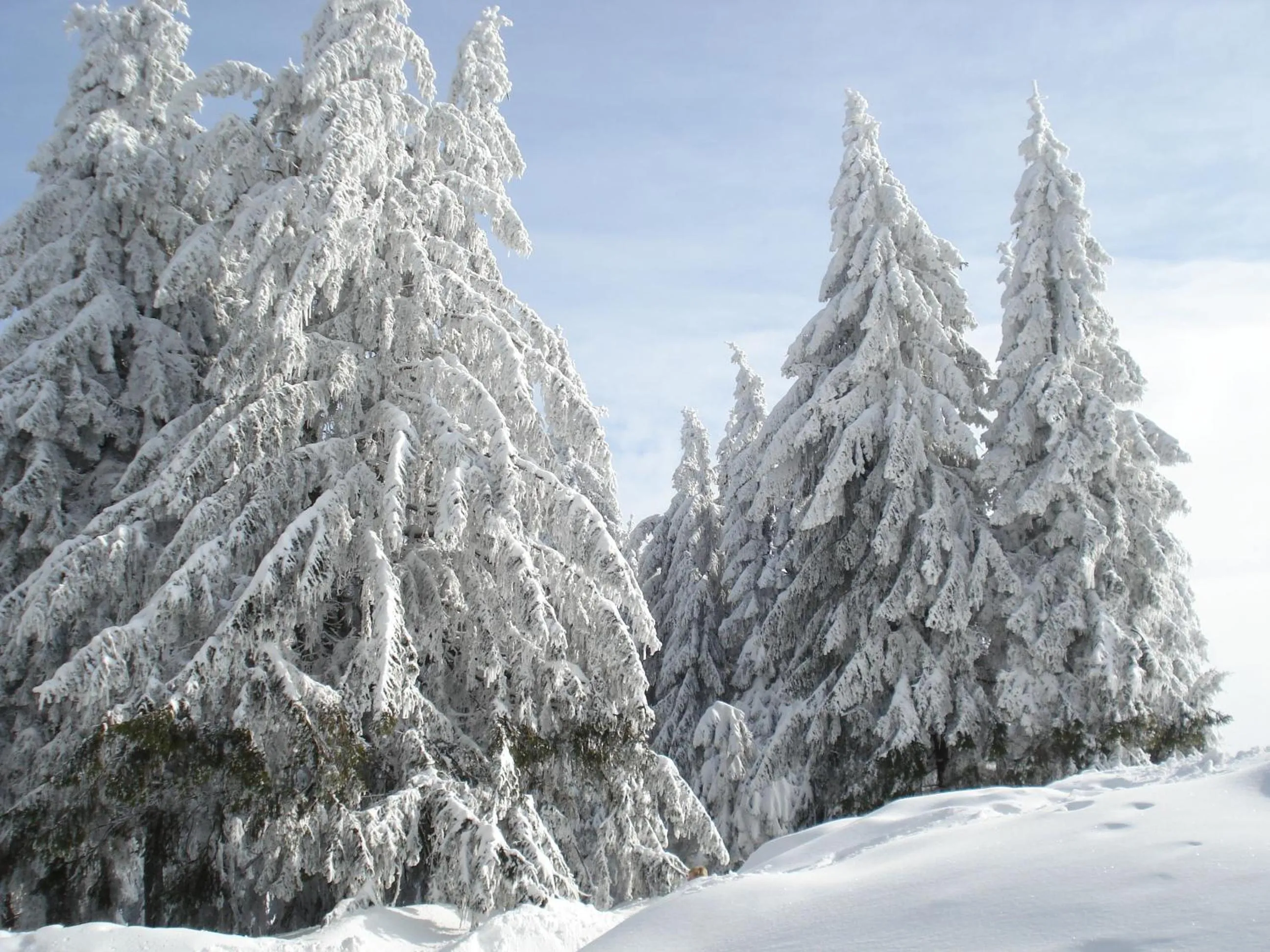 Skiing in Gästehaus Hochrhönblick