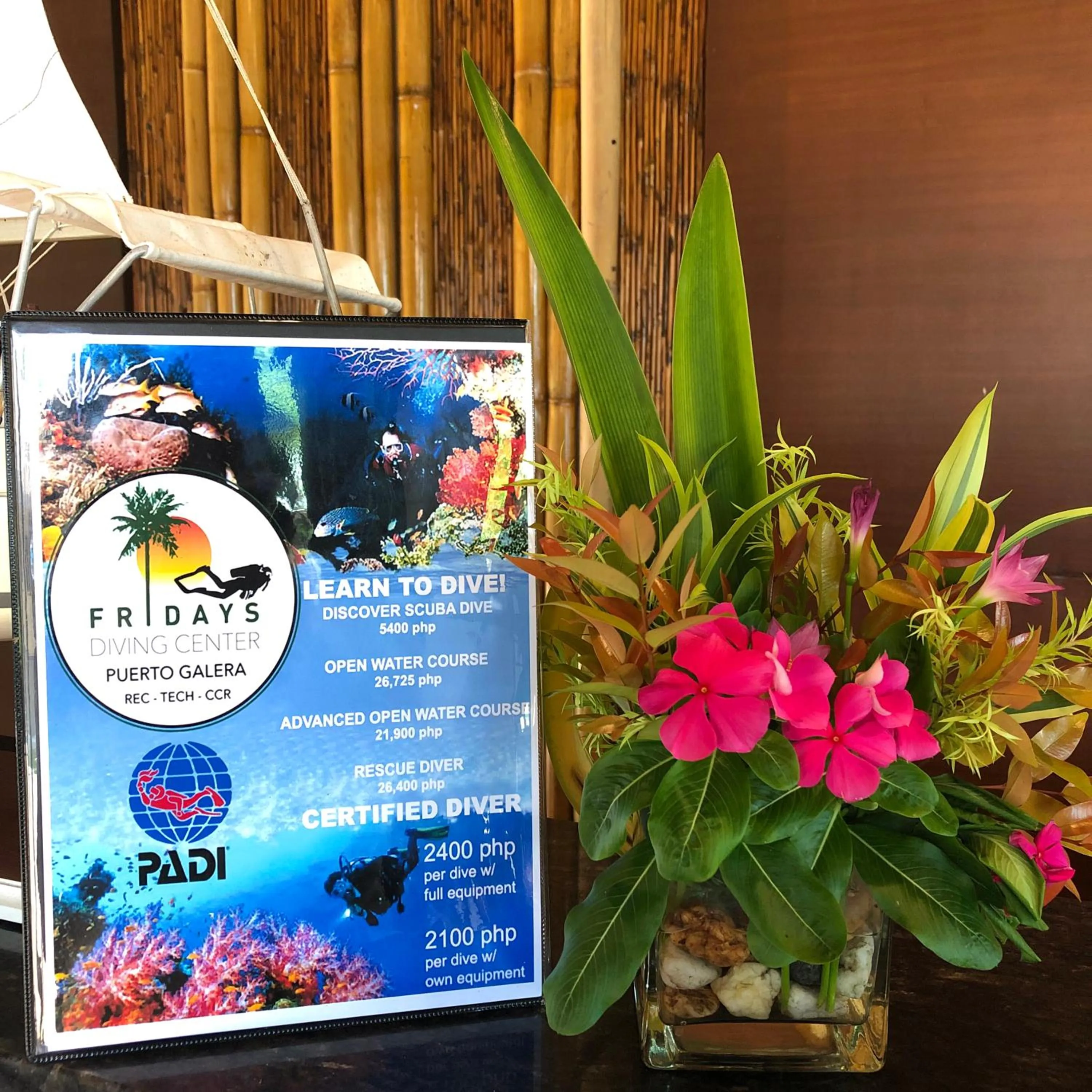 Diving in Fridays Puerto Galera