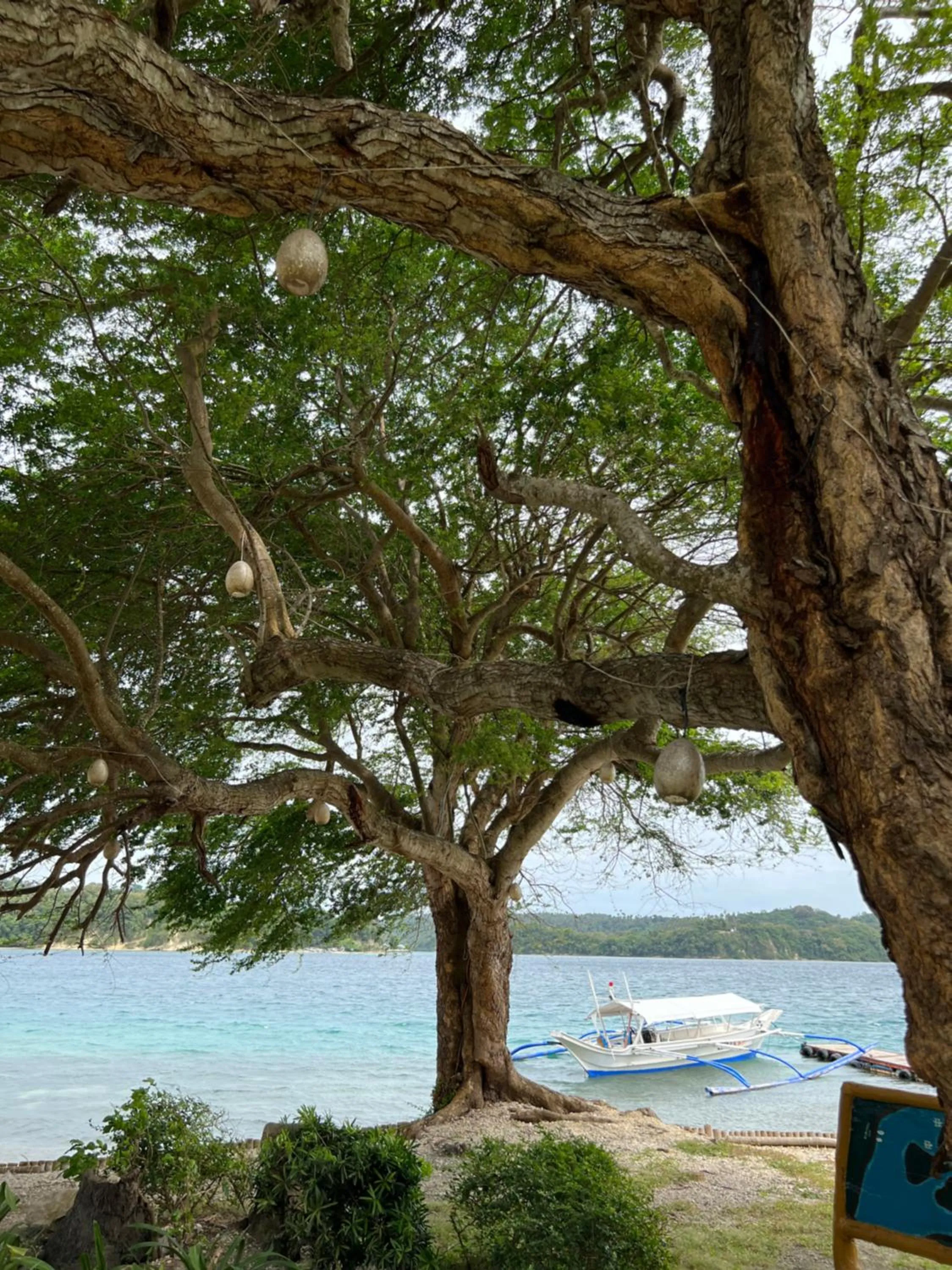 Nearby landmark in Fridays Puerto Galera