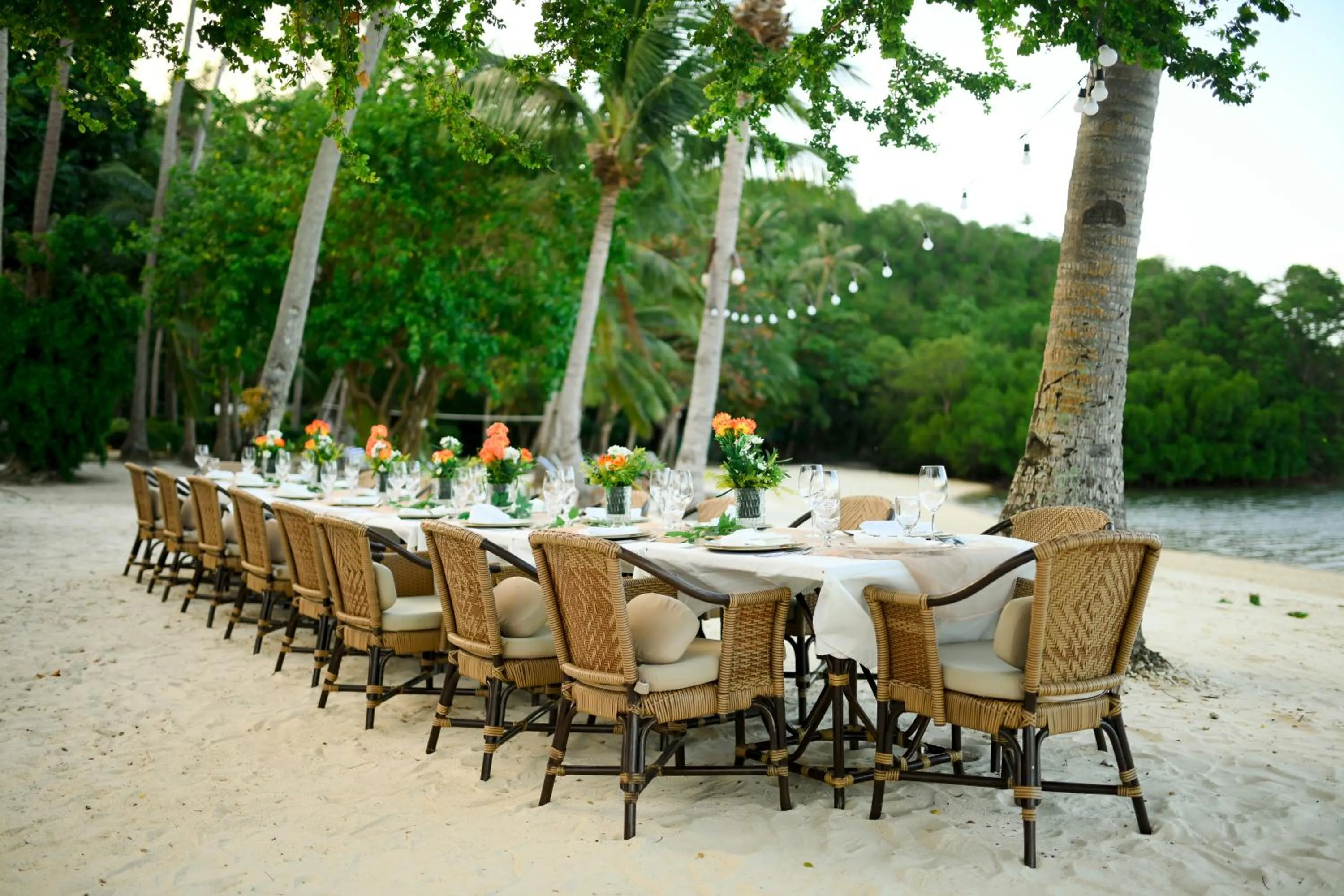 Natural landscape in Fridays Puerto Galera